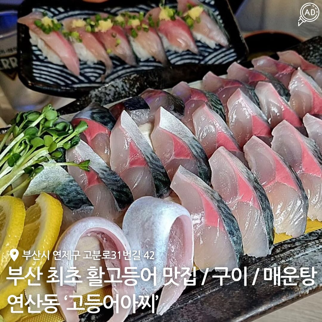 연산동에 위치한 활고등어 전문점 고등어다찌🐟

사장님께서 직접 어장을 관리하며
이틀에 한번씩 통영에 내려가 유통을 해와서 굉장히 신선함!!!💙

고등어는 잡히면 바로 죽어버리는 어종이라
회로 먹기에도 까다로우면서 어려운데
직접 유통하고 관리하니까 신선도 부분에서 인정받아
부산 최초 활고등어 전문점이래..🐟💙

1층 입구에서부터 고등어를 어떻게 관리하고 있는지
직접 볼 수 있는 어장이 따로 있으니 더 믿고 먹을 수 있음!!!

고등어 회 뿐만 아니라, 조림, 구이, 매운탕 등
여러 세트 메뉴들이 있으니 술 한잔하기에 딱 좋은 곳🍺

✅ 단체룸, 4인석 등 다양한 자리가 마련되어 있으니
언제든지 편안하게 방문하자구~~👣👣

📍 부산 연제구 고분로31번길 42
⏰ 매일 16:00 - 새벽 01:00
📞 051-853-9374
🗓️ 활고등어 회 / 고등어 조림 / 고등어 소금구이 / 활고등어 회무침 / 모듬사시미 / 랍스타 / 우럭구이 / 회덮밥 / 회초밥 / 매운탕

#연산동횟집 #고등어다찌 #부산고등어회 #연산동고등어회 #부산횟집추천 #연산동맛집 #연산동고등어 #부산고등어다찌 #연산고등어