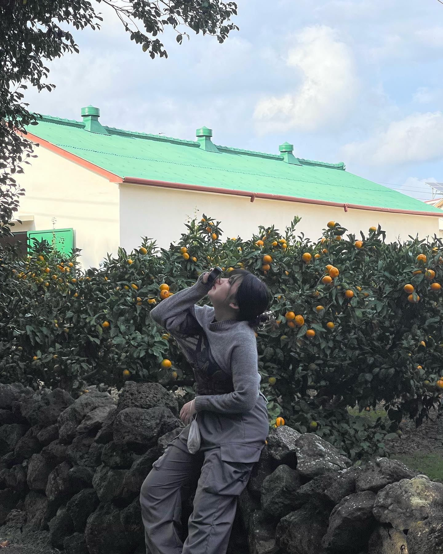 済州島にある椿村ツアーに韓旅で参加してきた！！
ここでは様々な体験が出来るんやけど、今回
🍊村探検
🍊椿のタネ拾い
🍊拾ったタネで油抽出体験
🍊椿の油を使った食事会

ここのツアーのおすすめポイントが二つあって
一つ目は自分たち以外に人がいないので、思う存分済州の綺麗な風景を堪能できるところ。
そしてもう一つは、配布されるTRAVEL KITにフィルムカメラが入っててツアー中、自由に撮影ができて撮った写真は後ほどメールでデータを送ってもらえるよん。

食事会(?)では鮑粥やお刺身などの、新鮮な食べ物を味わえるので済州に行った際はぜひ行ってみてほしい🐟

周辺にきれいなカフェもあってツアー中に休むこともできるし、TRAVEL KITにコーヒークーポンもあるので無料でアイスアメリカーノを飲むこともできる！！

—————

제주도에 있는 동백마을이라는 곳에서 마을 투어를 
다녀왔습니다!!
여기서는 다양한 체험을 할 수 있는데 이번에

🍊 제주 삼춘과 마을 탐방
🍊 동백씨앗 주으며 돌담길 산책　
🍊 동백방앗간 기름짜기 체험
🍊 동백기름 한상차림 저녁식사
를 하고 왔어요

여기 투어의 추천 포인트가 두 가지 있는데
첫 번째는 우리 단체말고는 다른 사람이 없어서 마음껏 제주의 아름다운 풍경을 즐길 수 있다는 점.
그리고 또 하나는 나눠 주시는 TRAVEL KIT에 필름카메라가 들어가 있는데 투어 중 자유롭게 촬영하면 되고 찍은 사진은 나중에 메일로 데이터를 보내주신다고 합니다.

식사는 전복죽, 회 등 신선한 제주의 음식을 맛볼 수 있으니 제주에 갈 때 꼭 가보세요🐟

주변에 이쁜 카페도 있어서 투어하다가 쉴 수도 있고 TRAVEL KIT에 커피 쿠폰도 있어서 공짜로 아아 마실 수 있어요!! 

—————

🌺동백마을 
📍동백방앗간 : 서귀포시 남원읍 신흥로 275-1
jejudongbaektown 
레스빠스(카페) : 서귀포시 남원읍 한신로 515 1층
lespacecoffee 
🕐동백방앗간 : 
레스빠스(카페) : 10:40〜19:00

kto.kantabi 
#韓旅サポーターズ #韓旅サポーターズ11期
#韓旅おすすめ