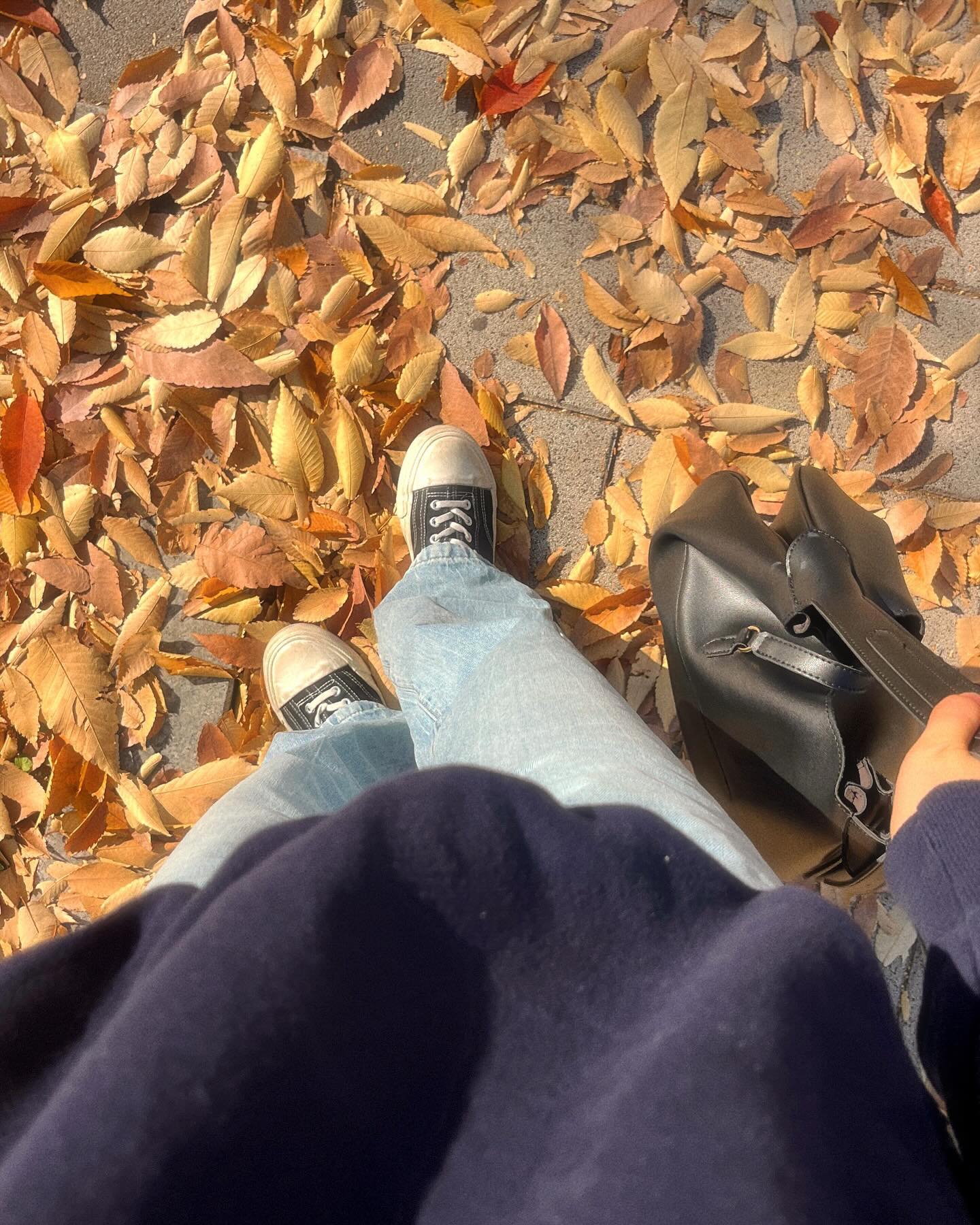 따뜻한 가을냄새 킁킁 🍂🍂

요새 가구 배치 생각에
행복하다가도 힘들어여
없는 센스 짜내려니 😂

#가을데일리룩 #맨투맨코디 #가을맨투맨 #꾸안꾸스타일 #오오티디 #출근룩그램 #가을옷코디 #맨투맨코디추천 #서울단풍