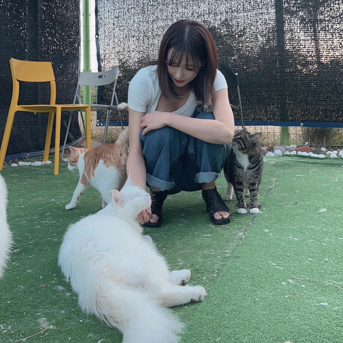 우주 최고 좋았던 고양이와 함께할 수 있었던 #강릉숙소 네코스테이🐱

진짜 냐옹이가 10마리 가까이 되는데 한마리도 빠짐없이 다 개냥이에 사람들을 너모 좋아해서 더 행복했던 하루..🧡 이용객들이 원하면 아이들중 한마리를 데려와서 하루동안 같이 지낼수도 있는 기회가 주어지는데 진짜 냥이 좋아하시지만 못키우시는 분들은 간접집사체험 가능이에요!!!🎉

자쿠지도 이용할 수 있고 숙소 내부도 다 고먐미로 너무 귀엽게 꾸며져있어서 진짜 취향저격 제대로야...강릉가면 네코스테이 무조건...메모메모...
.
.
.
#강릉 #강릉여행 #강원도 #바다 #속초 #양양 #국내여행