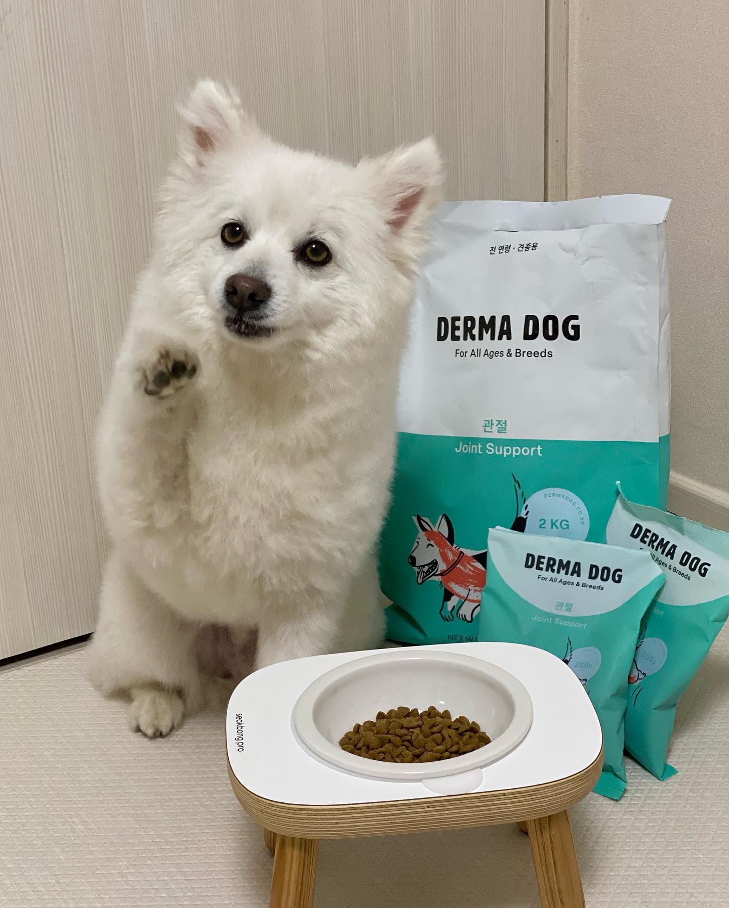 X derma_dog *제품제공
관절 건강도 더마독으로🦴

요즘 이슈되고 있는 사료 논란..
직접 문의한 결과, 더마독은 해당 이슈와 관련 없는 원발란스라는 곳에서 안전하고 전문적인 제조 공정을 통해 생산된다고 해요!

더마독 관절 사료는 콘드로이친, 글루코사민, 초록입홍합 함유로 관절 및 연골 건강에 도움을 줘요🙌🏻
가수분해 단백질로 알러지 유발을 최소화하고
육분이 아닌 국내산 오리안심 살코기와 황태 분말로 기호성도 🆙

석봉이도 3개월 동안 먹고 있지만 
질려하지 않고 늘 맛있게 먹고 있는 더마독🩵
믿고 먹일 수 있는 사료가 있어 넘 다행이에요🥹🫶🏻

#더마독 #더마독사료 #토니안사료 #더마독파트너