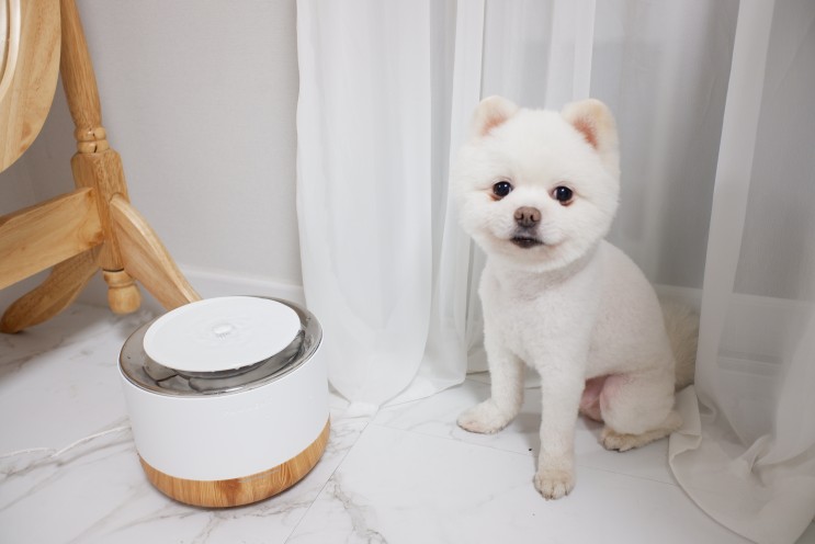 저소음 강아지 고양이 정수기 앱 연동으로 음수량 확인 가능 스마트한 포먼트 우디