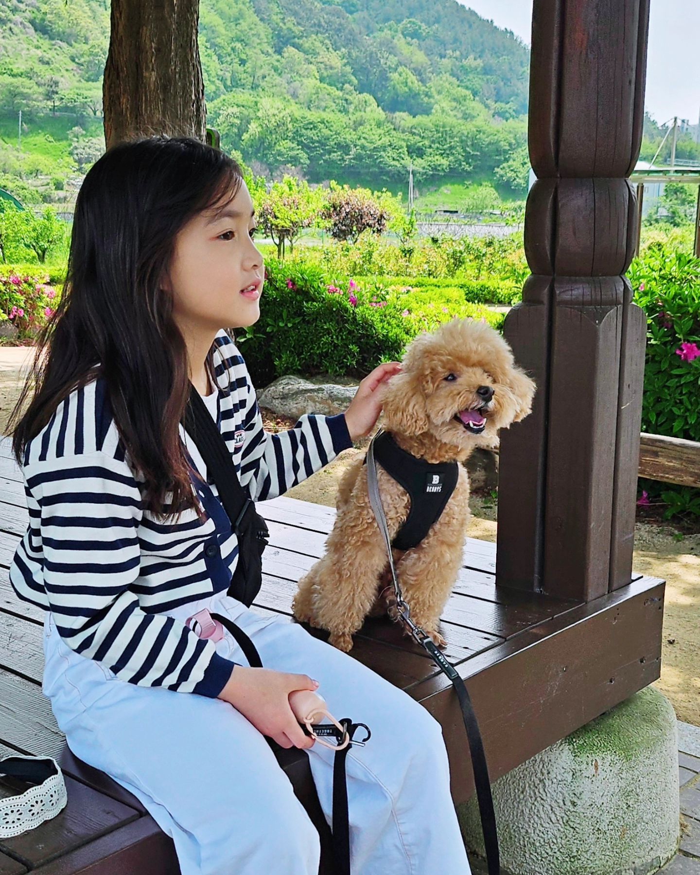 오늘은 예쁜 연떠랑 바리랑🐶 

반려견 1일체험❤️ 
베트남쌀국수집에서 분짜랑 쌀국수먹고♡
영히이모 추천 팬케이크 집에서 팬케이크 먹고♡
연떠아파트 놀이터갔다가♡ 재미있었당♡

#주말 #강아지그램  #멍스타그램