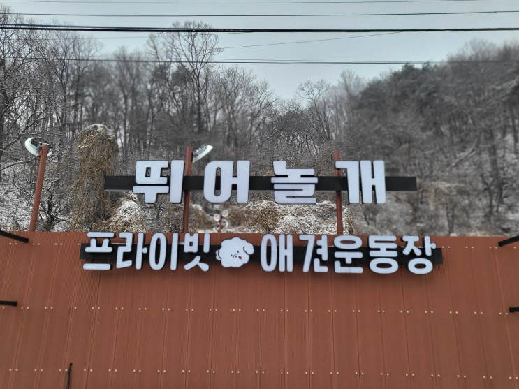 뛰어놀개 프라이빗 운동장 / 양평 애견운동장