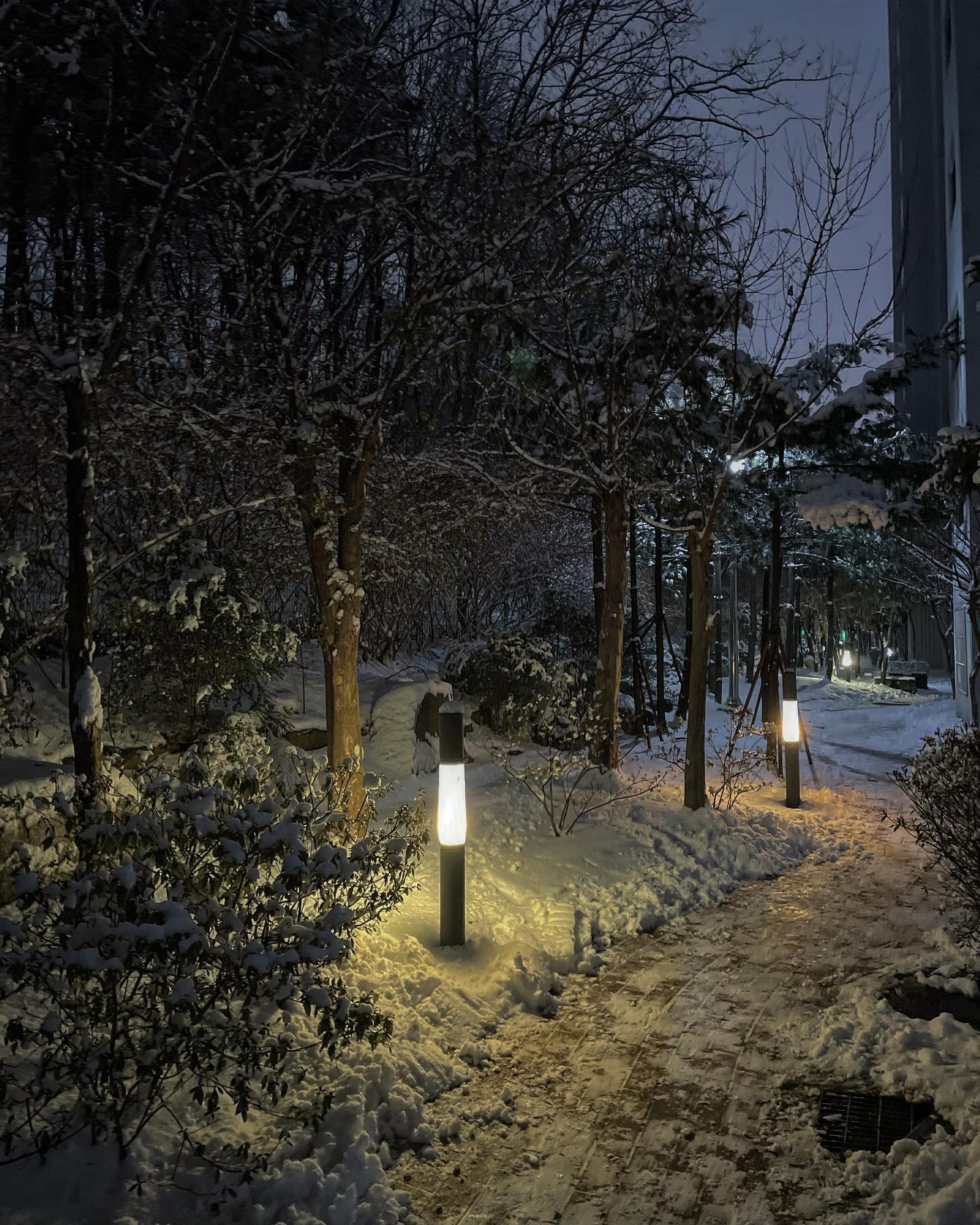 ☃️
예쁜건 피드박제

단지 뒷길, 단지 뒷 설산, 옆단지의 예술인 작품, 그리고 호주직구 어그 💗

#월동준비완료