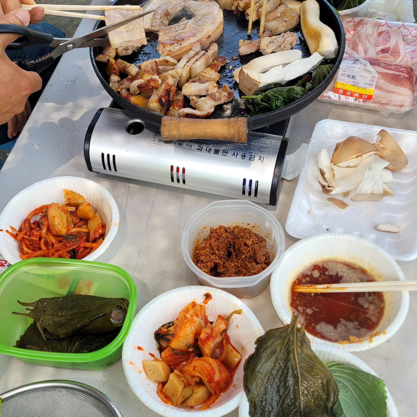 주말농장 날이 너무덥다. 그래도 씨를 뿌려야지 수확을 하지 고양시 신평주말농장 

#베테랑69 #주말농장 #고양시 #신평 #추수 #모종 #텃밭 

여행문의 베테랑69  01094586754