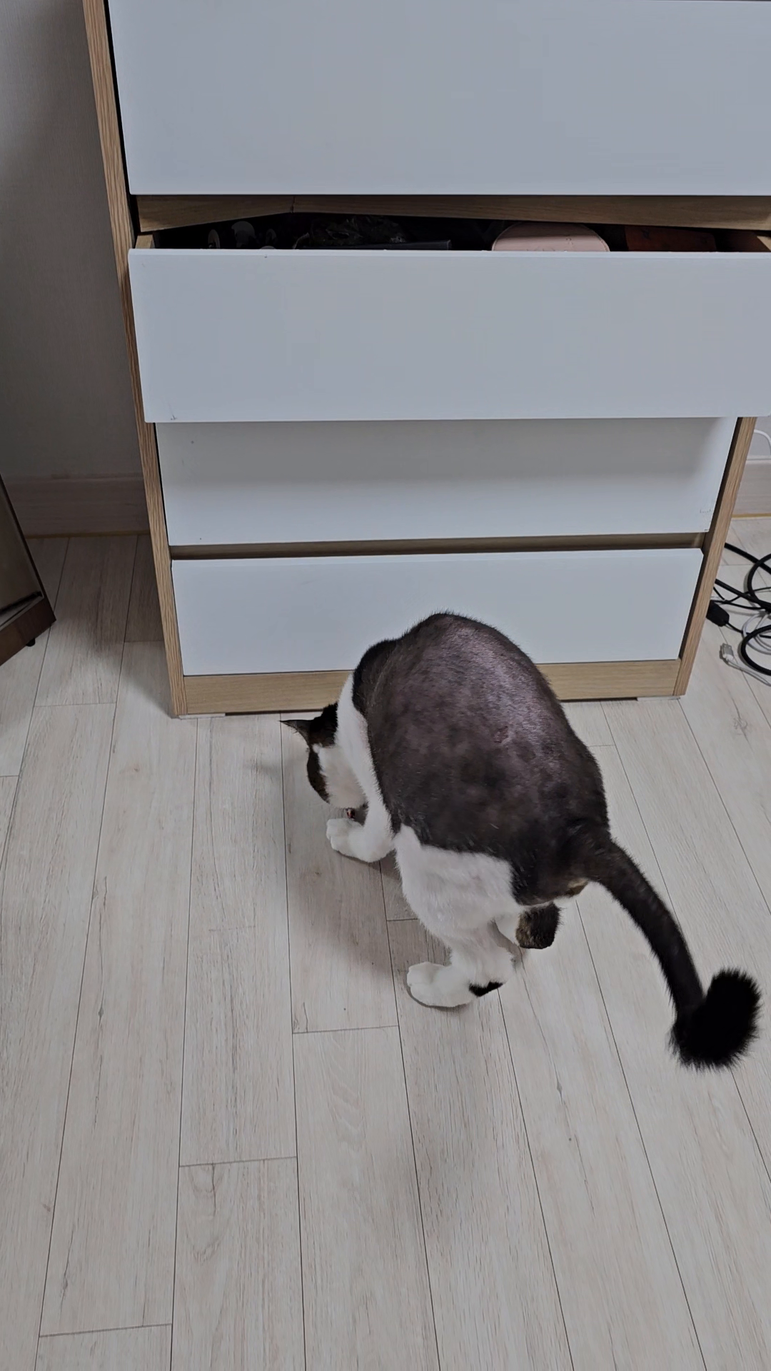 콘텐츠