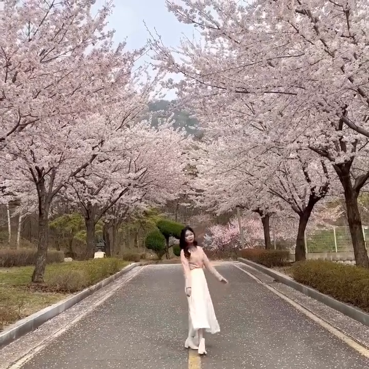 봄이 제일 쥬아🌷