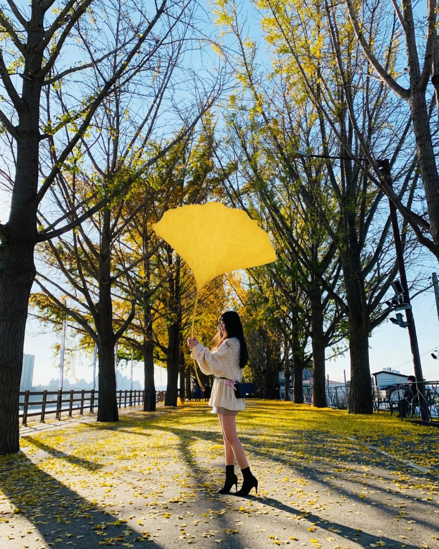 🍂
나도 유행따라 
대왕 은행잎 들고!!

내가 너무 작아 보이잖아~😆
.
.
.
.
.
#은행잎