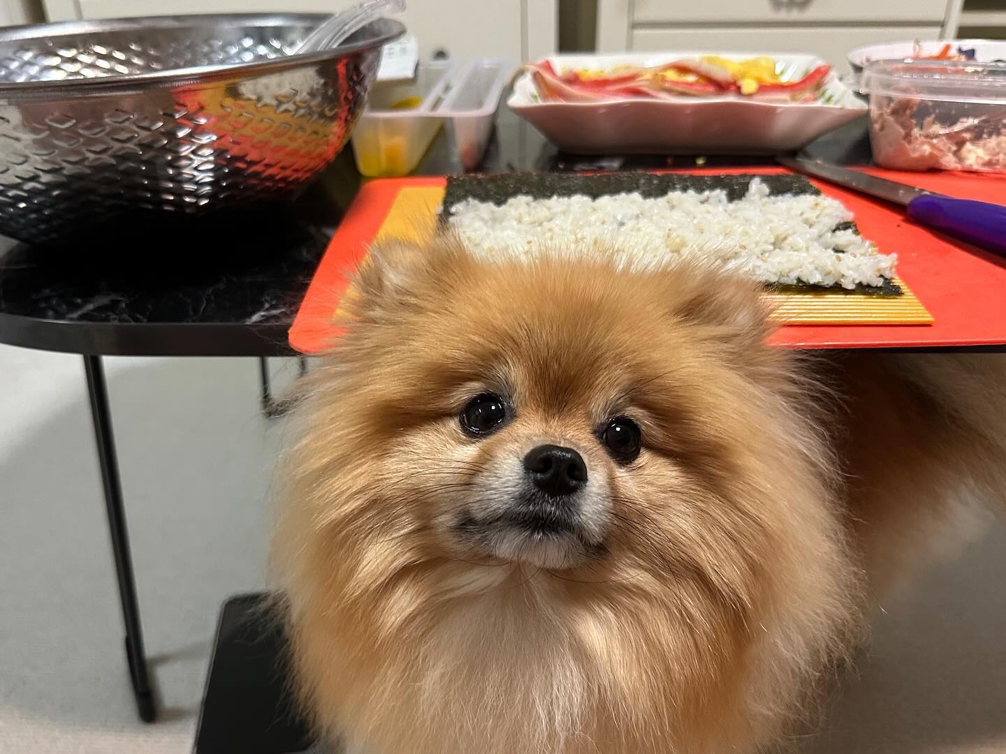 오랜만에 일상사진 !
내 김빱은 업나요? 🍙