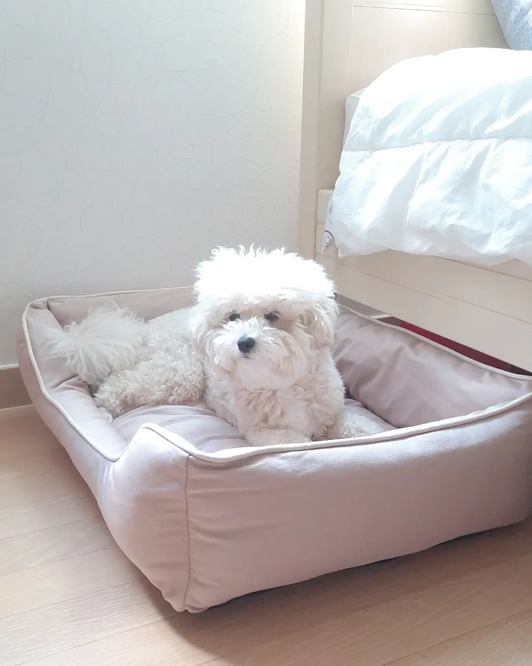 라니온