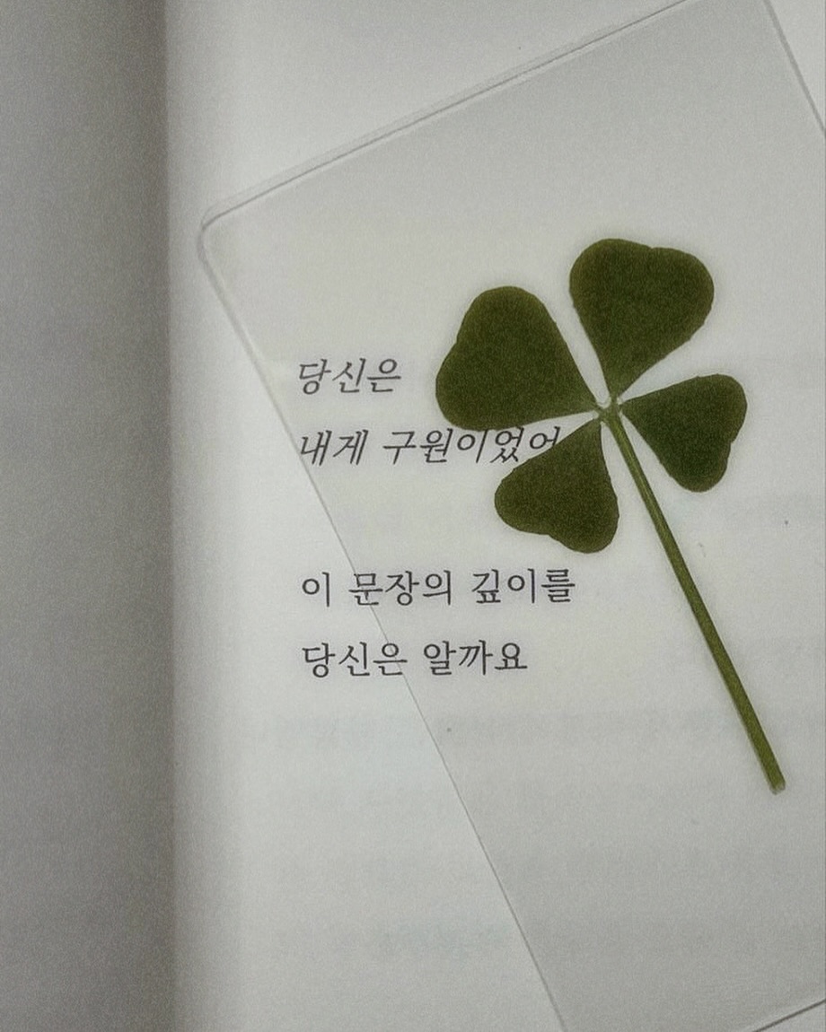 행운챙기고 오늘도 달렷 어디로든-!