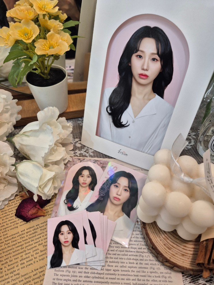 을지로 사진관 흐드러지다 스튜디오에서 증명사진 후기