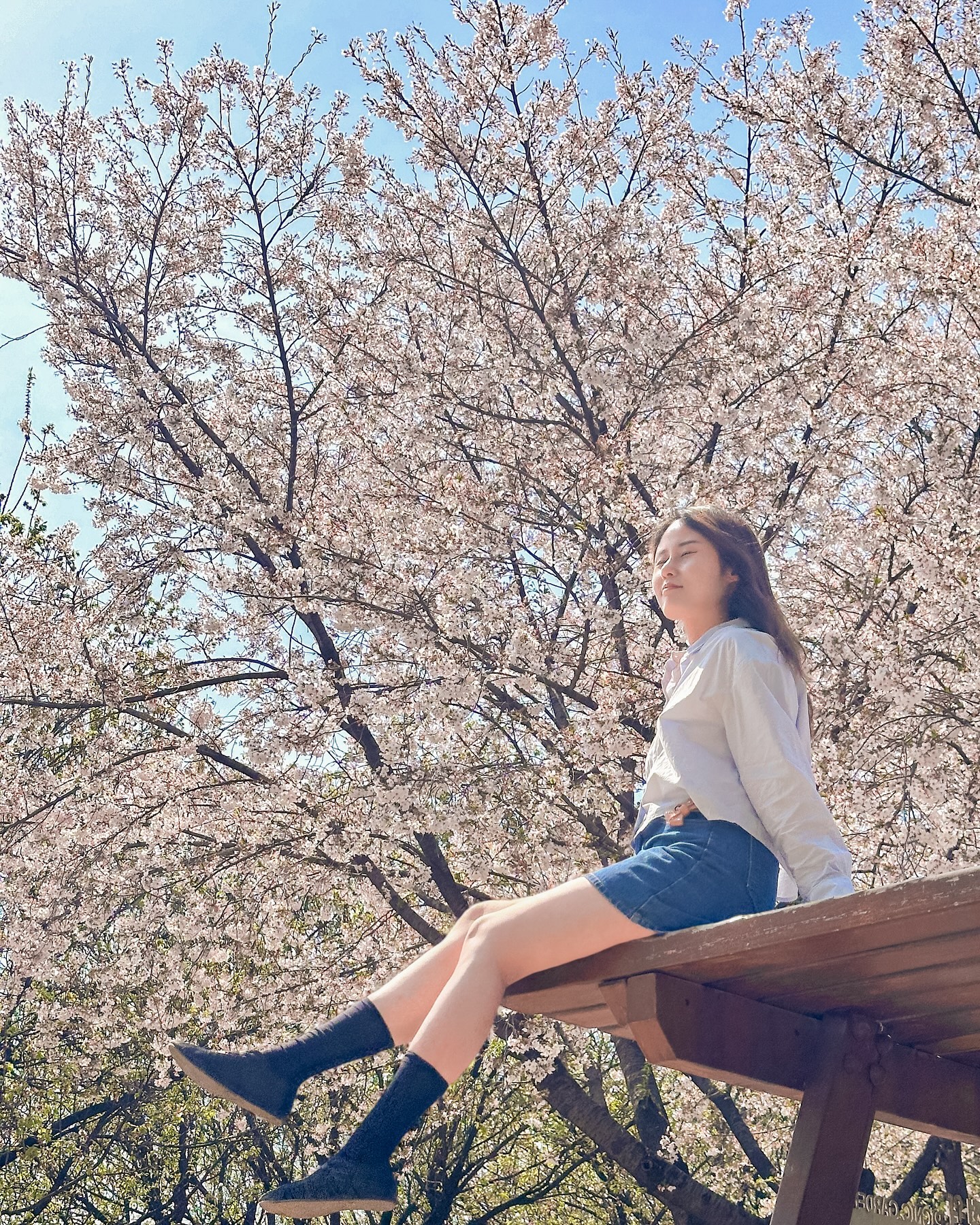 #벚꽃 #벚꽃엔딩 #엄마표사진 

항상 날 예쁘게 담아주는 우리 엄마🤍