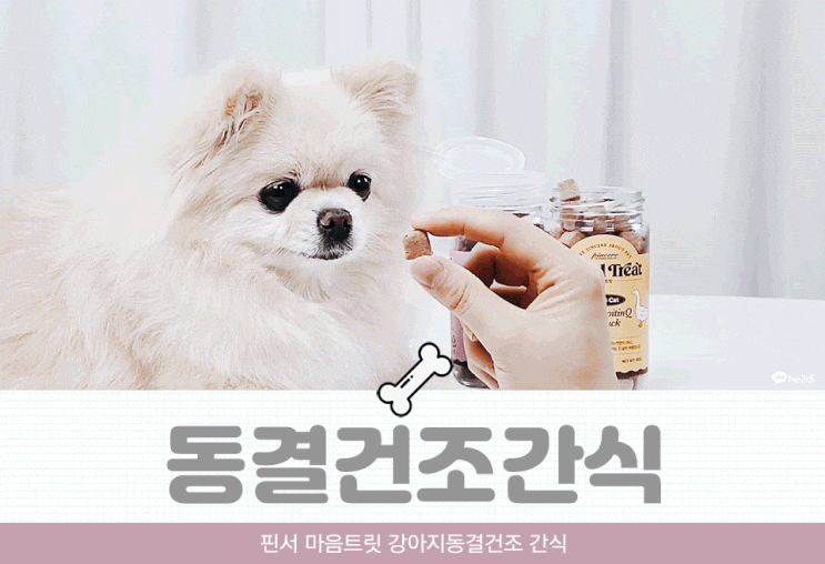 강아지동결건조 간식 핀서 마음트릿