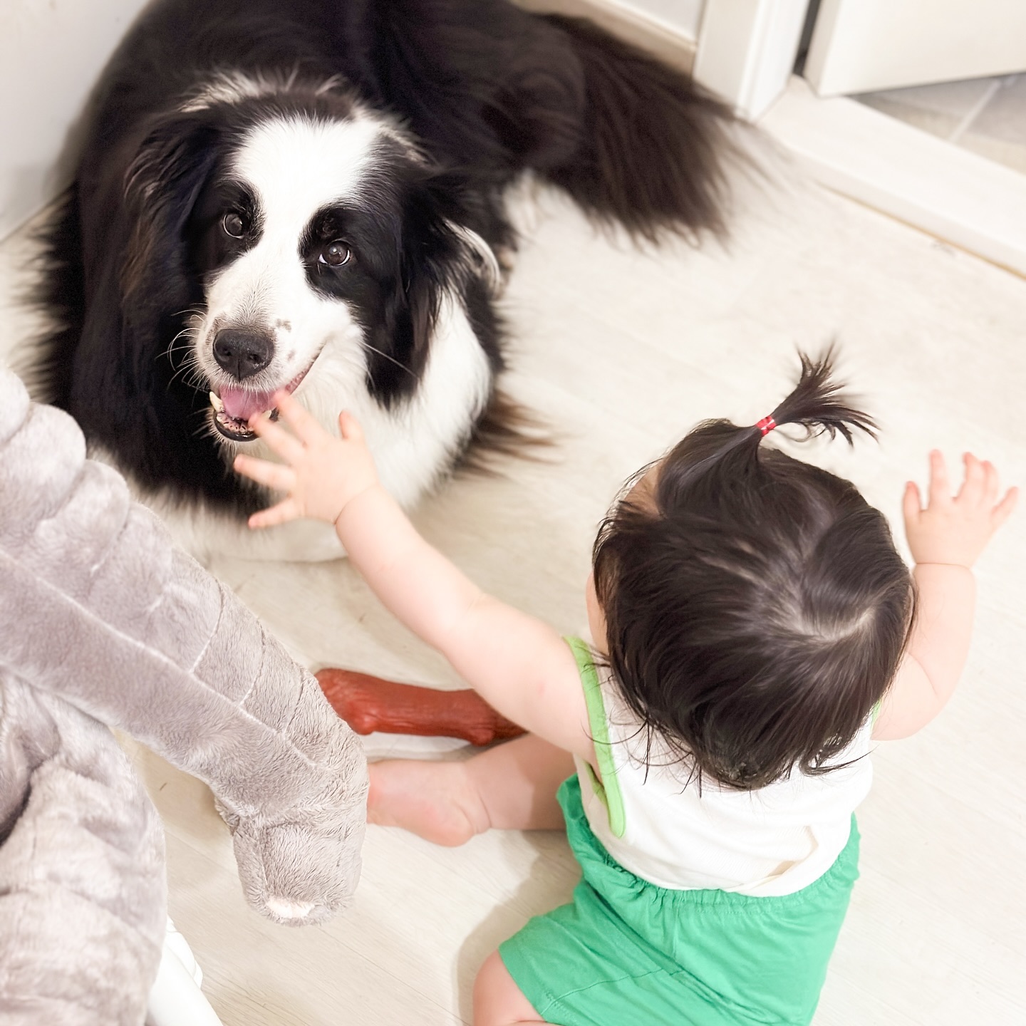 .
Day+301
어제 다리 접질려서 오늘 산책 살짝ㅋㅋㅋㅋ미적거렸더니
월리가 산책 가자고 낑낑 거림🙄
낑낑 거리자마자 꾸미 달려가서
월리 만지고 밥그릇까지 탐하기
둘이 알아서들 해랔ㅋㅋㅋㅋ난 모르겠다😂
#아들스타그램 #육아기록