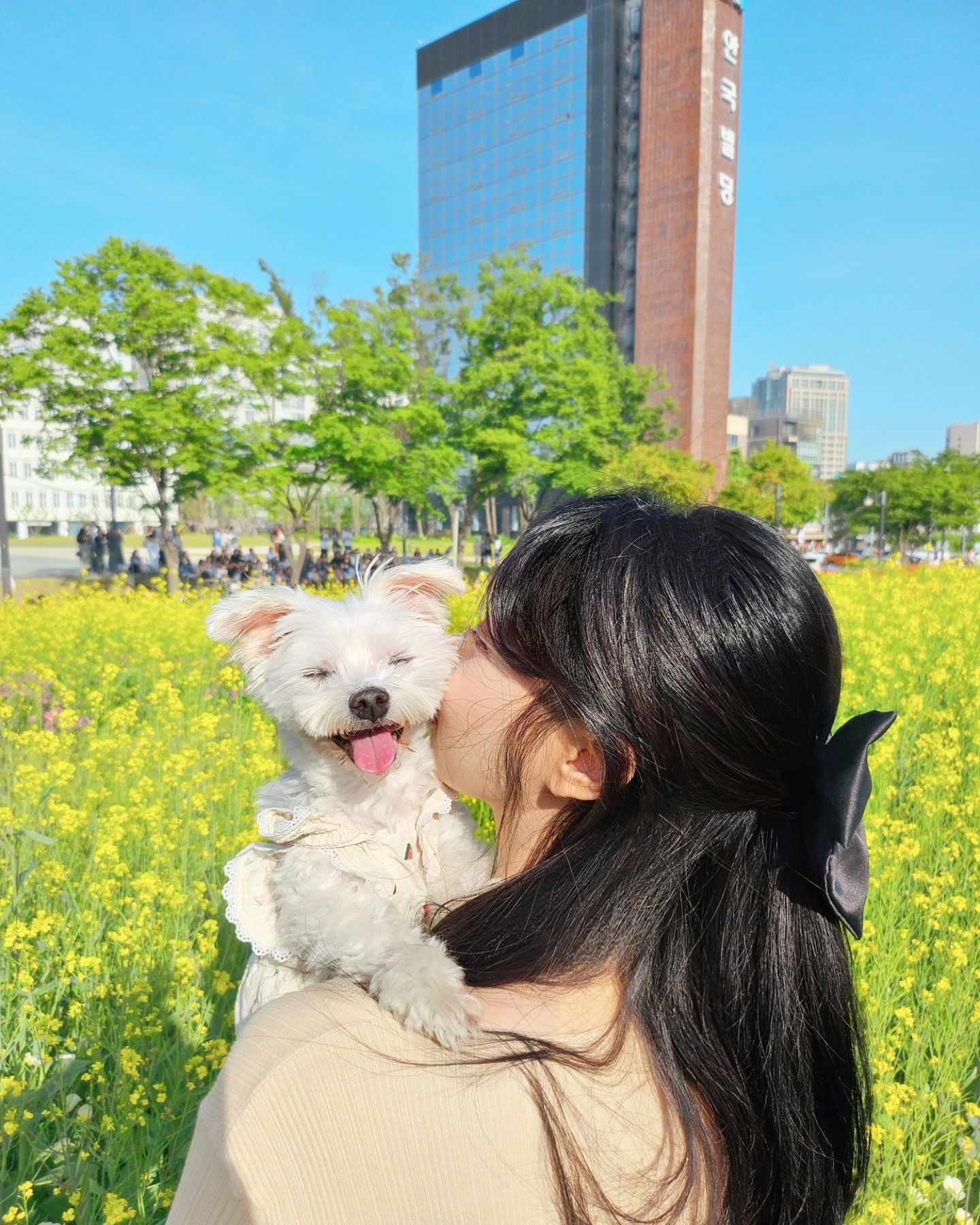 🐶🌼💐