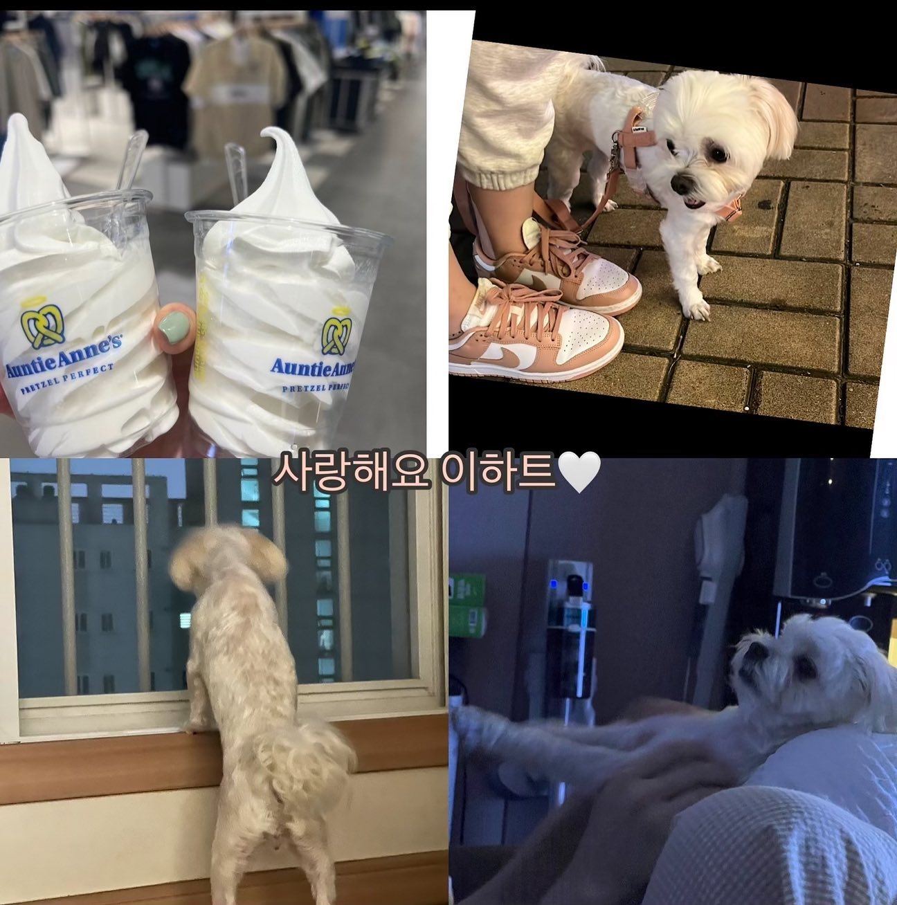 내 귀요미,🤍
내 잠금화면~🩶