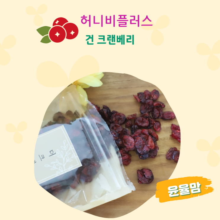건과일 맛난 허니비플러스 건 크랜베리