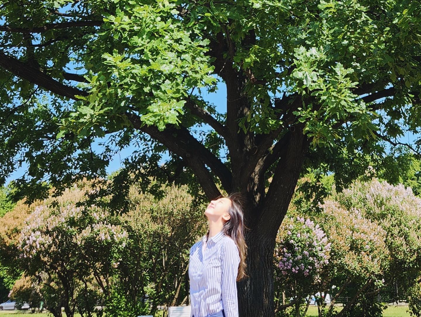 4년동안 매일 걷던 길인데,
학교 앞 캠퍼스에서 찍은 사진이 한장도 없더라
⠀
입학 전엔 잔디밭에 앉아서 책도 읽고 맥주도 마시고
그런 대학생활을 하게 될 줄 알았는데
뭐가 그렇게 바빴던건지,,
지금에서야 더 여유를 즐겨볼껄 겁내지 말고 놀아볼껄
이런 아쉬움이 남는다
그만큼 열심히 살았다는 뜻이기도 하겠지
⠀
한국에서 대학생활을 했다면 경험했을 많은 것들—동아리 활동, mt, 소개팅, 축제 등등—을 경험해보지 못한 건 조금 아쉽지만
그보다 더 많은 것들을 배웠고 
모든 것은 나의 선택이었으니 후회는 남지 않는다
⠀
참 유한하고 한정된 젊음이다
나는 나혼자 자라는 나무인 줄 알았는데
그 옆에 거름과 물을 주는 사람과
함께 자라나는 이들이 있었기에 성장할 수 있었음을
혼자 몇년 살다보니 알게되었다
#🌳