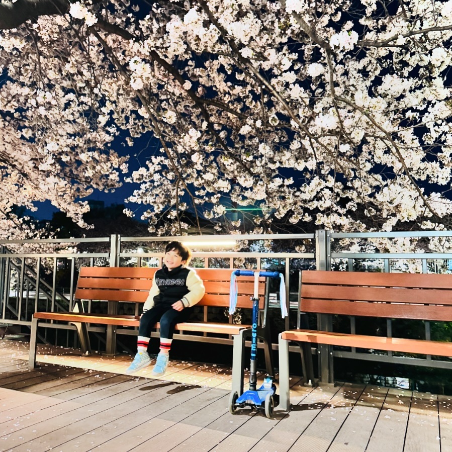 #광고 맥주 안주로 고소하고 담백한 황태 황홀태 진짜 쵝오다! 바삭한 고단백 영양 안주 한 번 먹으면 멈출수없고 먹태보다 바삭하고 가다랑어 간장소스&마요네즈 소스가 진짜 미쳤다 피크닉 갈때도 간편하게 딱좋고 황홀태 여행갈때… | Instagram