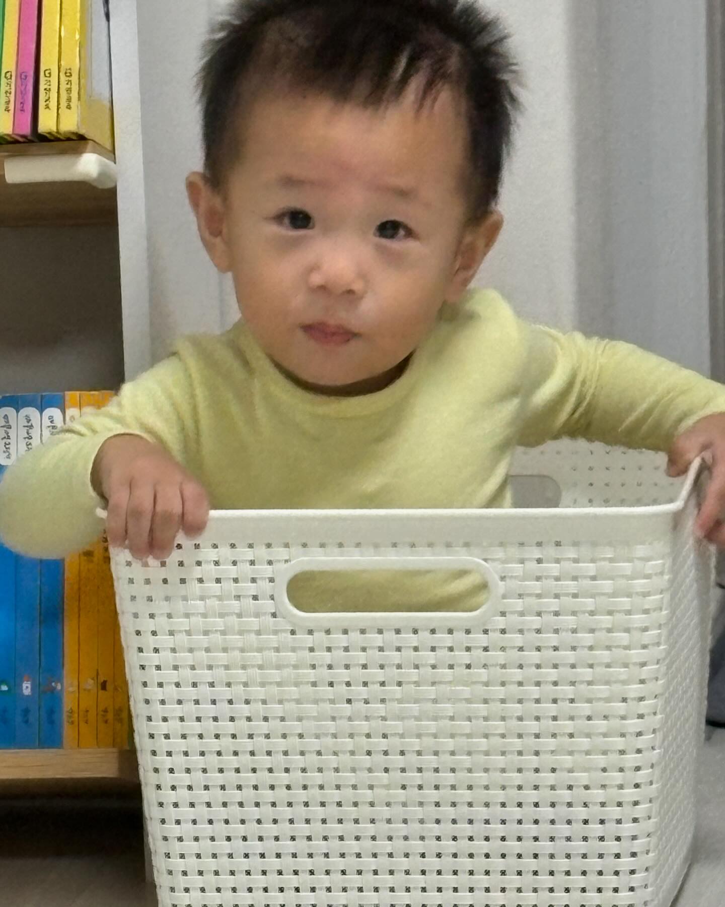 장꾸 두찌의 일상🤍
.
.
.
#니덕에내가궁디붙일틈이없다
#쉼없이움직여야집꼴이돌아감
