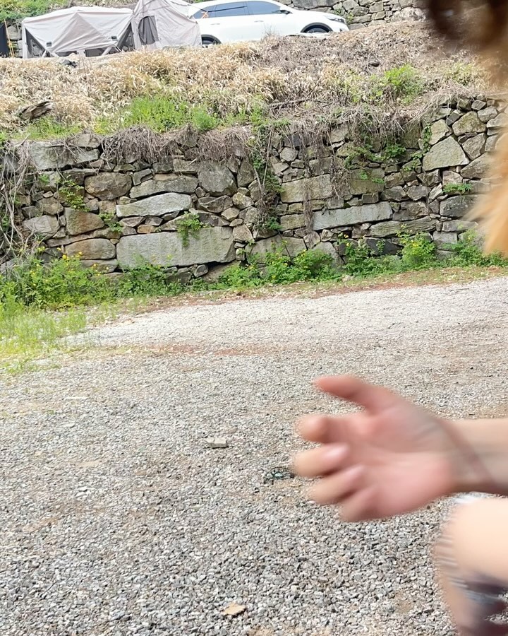 혼자 고군분투 했던 지난 캠핑🏕️
비가 와서 산책은 많이 못했지만
명당 자리잡은덕에 자유롭게 다니면서
뭉,콩이랑 알콩달콩 외롭지 않게 즐기고 왔어요

#뭉탱❤️ #콩장❤️ #똥뭉탱❤️ #개콩장❤️ #반려견동반여행 #반려견과함께나들이 #닥스는사랑입니다❤️ #닥스훈트옷 #닥스훈트맞춤옷 #Dachshundclothes #DachshundCustomsuit #fashiondogs #dogcouture #dogcloses #dogwear #handmadedogwear #닥스훈트 #데플닥스훈트 #데플단모닥스훈트 #데플장모닥스훈트 #Dapple #Dachshunddaily #Dachshund #Dachshundlove  #Dachshundstagrams #dappledachshunds #doxie #dogstagram  #댕팔맞팔 
#ダックスフント