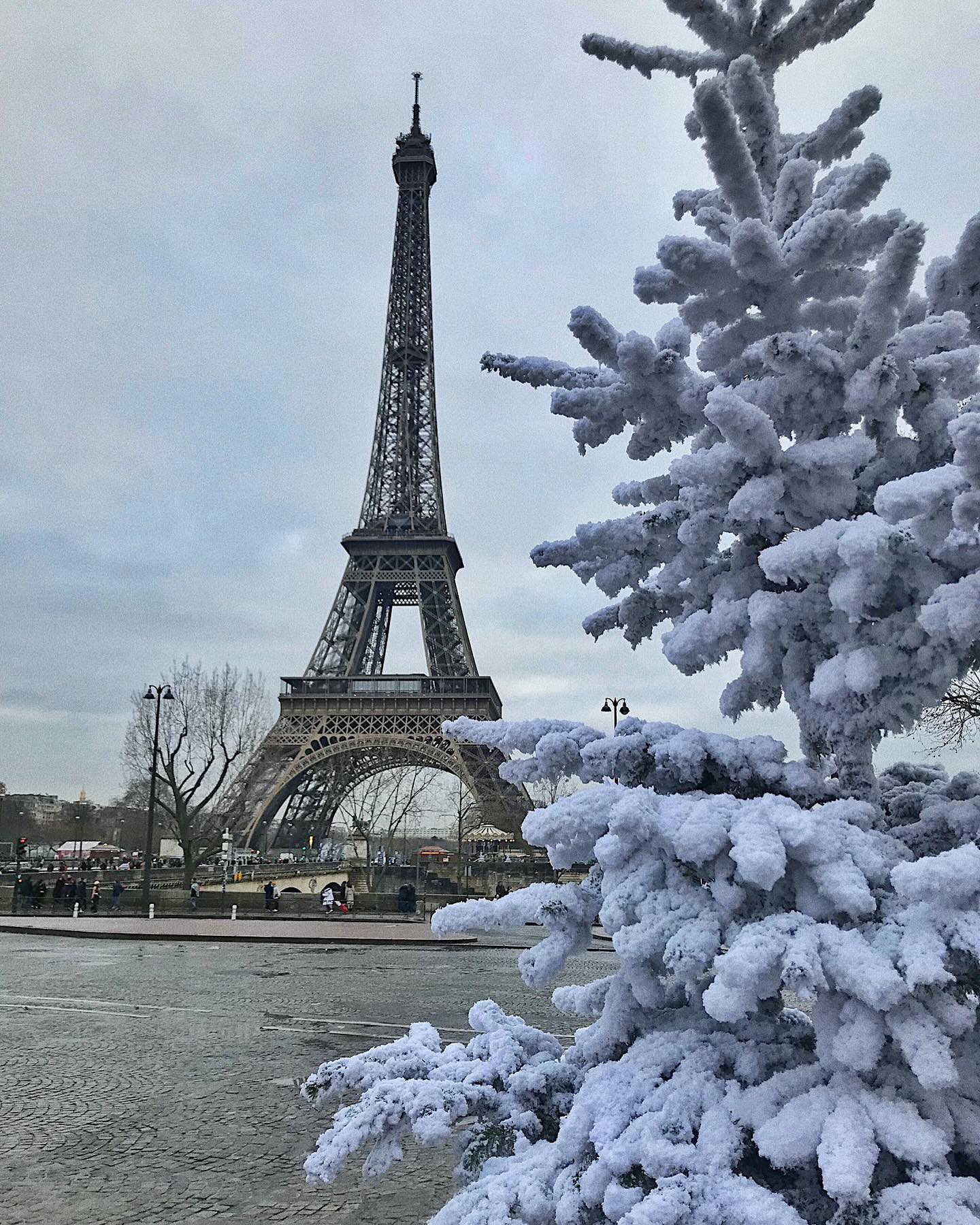 𝑀𝑒𝑟𝑟𝑦 𝐶ℎ𝑟𝑖𝑠𝑡𝑚𝑎𝑠🎅🏻🎄