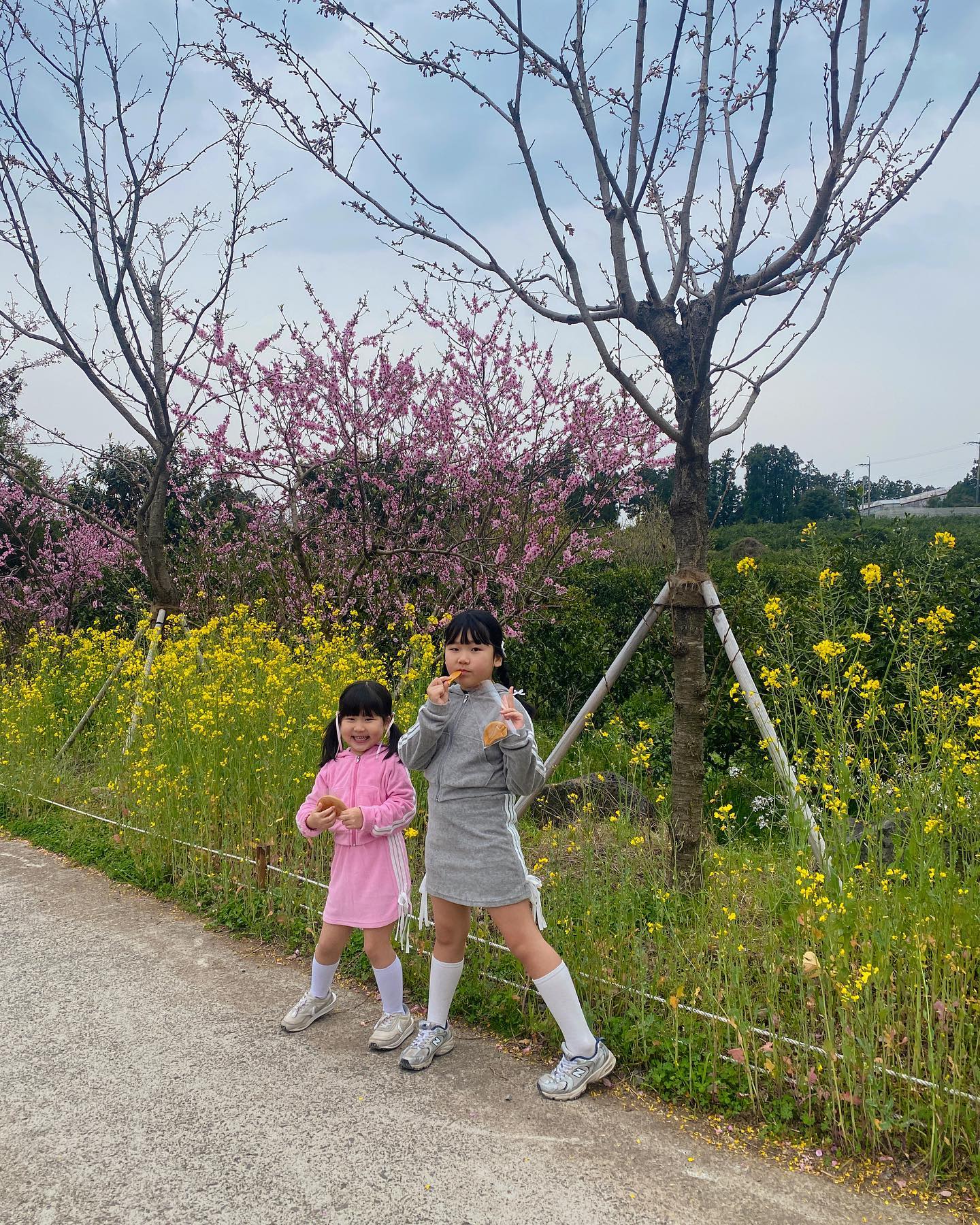 -
#오늘의지자매
오랜만에 예쁘게 입고 나들이
사람도 많고 벚꽃없는 쪽으로 내려와서
사진도 제대로 못찍었지만 
오랜만에 피드 남겨봄