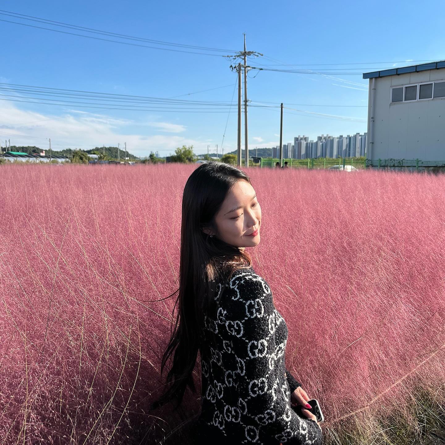 나도 봤다 핑크뮬리🌾🌷