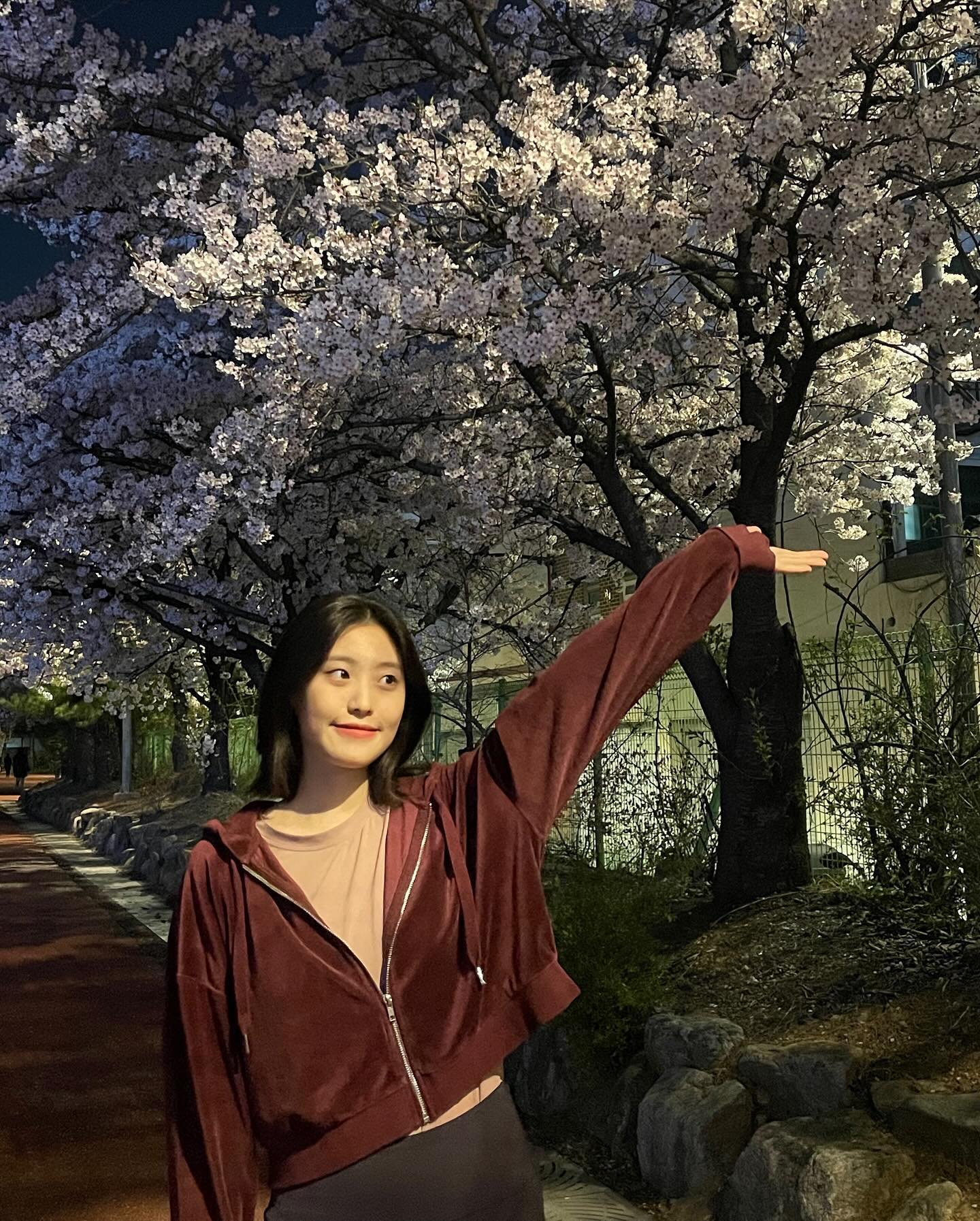 밤 벚꽃도 예쁘잖아 #🌸