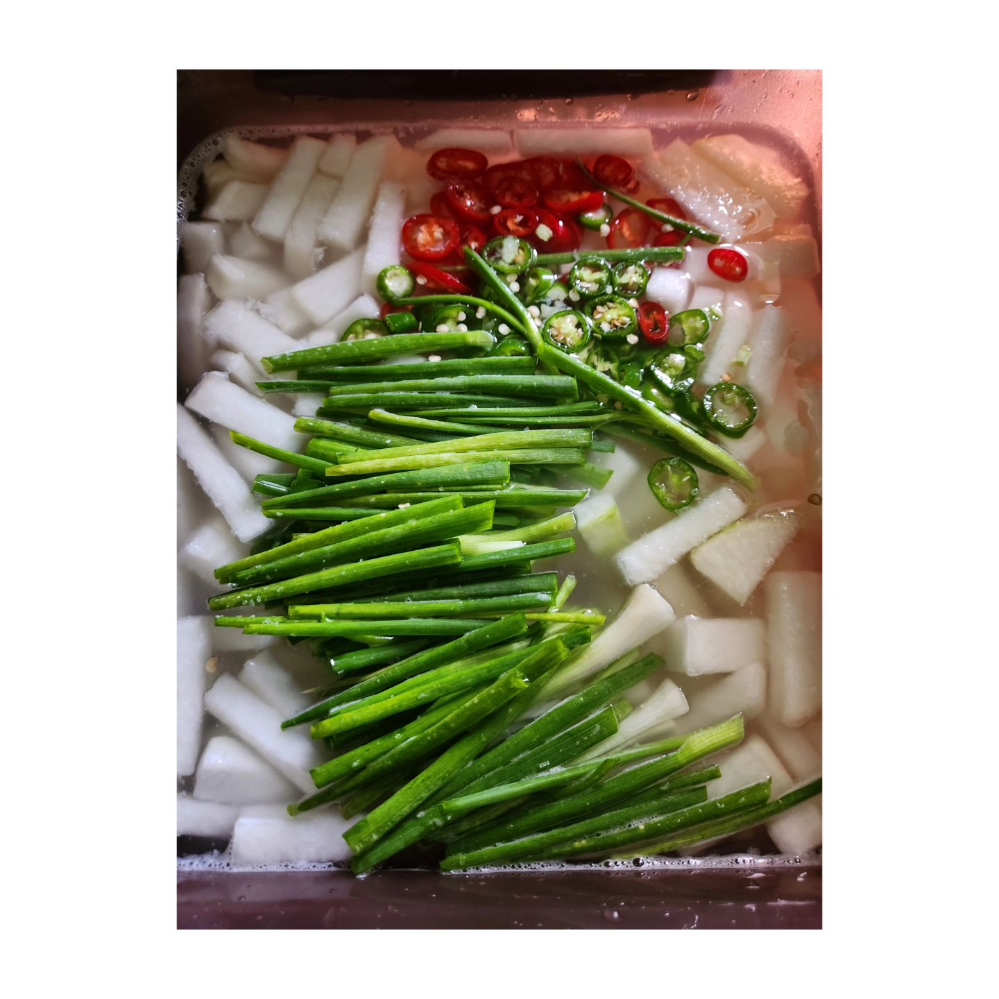 으ㅎㅔㅎㅔ
#일요일...결국 사고를 치고야 말았음
김치 네가지 후다닥!
누가보면 #김치귀신인줄 
사실 김치 별로 안좋아하는데 
#외할머니한테 전화해서 나박김치는 할머니의 레시피전수 ㅋㅋㅋ
사실별거없다 할머니의 손맛이었겠지
냉장고가 온통 김치천지네
#아들녀석도 없는데 언제 다먹지??? 하고있던 찰나...
엄마가 가져오란다 ㅋㅋㅋㅋㅋ다행이군...
#물김치#나박김치#열무김치#파김치
#맛있어져라~~~ 안익어도 맛있는데
익으면 얼마나 맛있을까? ㅋㅋㅋㅋㅋㅋㅋ