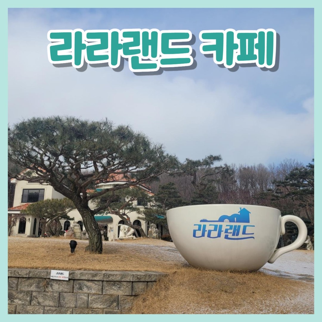 대부도 라라랜드 카페

😍위치
경기도 안산시 단원구 뻐꾹산길 41-38

😍영업시간
평일 오전 10시30분 ~ 오후 9시
주말 및 공휴일 오전 10시 ~ 오후 9시
동절기는 오후8시

😍주차
마당 주차장 넓음!

안산 대부도 가볼만한곳으로 강추드리는 포토존 많은 라라랜드 카페​

봄,여름에 오면 더 푸릇푸릇하니 이쁠것같다구로😍
야외테이블도 있지만 다음기회에..

​애견동반 가능한 카페라서 정원에서 뛰놀수도있고
너무 좋을 것 같다구로~
다반 하네스 필수!!

애견 입장료 3,000원

❤️주문
초콜릿라떼 8,000
따아 6,500
아아 6,500
유자차 8,000
카푸치노 7,500
바닐라카페라떼 8,000
번트치즈케이크 8,000
상주과자 5,000

​1월 26일 2층 확장 오픈을 위해
공사중인 관계로 할인 받았다구로

​총 57,500원인데 30프로 할인돼서 40,250원!😮

​거기다가 영수증 리뷰 이벤트해서
텀블러도 받았다구로~🥰

인테리어는 대리석으로 인테리어 되어있어서
고급지고 깔끔한 느낌

​자율포장대 있는거 왤케 좋음
전자레인지도 있고~~😘

​
👏초콜릿라떼 
엄청 진하더라는...넘 달아서 다 못먹을 정도!
아이스였으면 얼음이 녹아서 괜찮았을것 같다구로

👏​따아도 진한편 시럽 많이 넣었다구로!
👏아아는 아아~ㅋㅋ
👏카푸치노도 맛있고
👏바닐라빈라떼 뭔지모를 알갱이가 씹히고 많이 단편이라고,
👏유자차는 그냥 유자차

👏치즈케이크는 짱맛 부드럽...
젤 맛있었던게 치케인듯
잇님들 가신다면 치케 꼭 드셔보시라구로​

엇? 밖에 바람도 안불고 
괜찮은것 같은데? 나가서 사진찍자!!
어디서 찍지? 하고 나왔는데
바람 겁나많이 붐................😢

​바람과 비와 눈을 몰고다니는 우리 가족들
언제쯤 맑은 하늘에 여행할수있을까?

#안산가볼만한곳
#대부도가볼만한곳
#대부도카페
#대부도라라랜드
#라라랜드카페
#대부도나는솔로카페
#나는솔로카페
#대부도애견동반카페