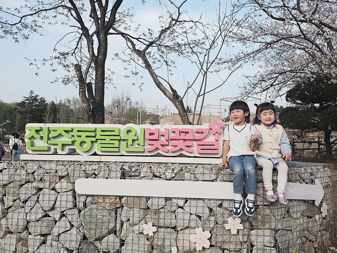 __전주 여행 1일차⭐️

전라도는 여행이 첨이였지만 기회가 되어서 열심히 달려간 전주🙂
전주동물원 가서 동물 구경도 하고~
벚꽃 구경도 하고~
분위기 좋은 한옥 카페 가서 맛있는 디저트도 먹고~
사진 진짜 많이 찍었다^-^
날씨도 너무 좋은 행복한 하루😘

#전주 #여행 #여행스타그램 #전주여행 #전주맛집 #전주동물원 #동물원 #전주드림랜드 #드림랜드 #벚꽃 #벚꽃명소 #한옥 #카페 #전주카페 #팔로우 #인스타 #행복 #가족 #가족여행