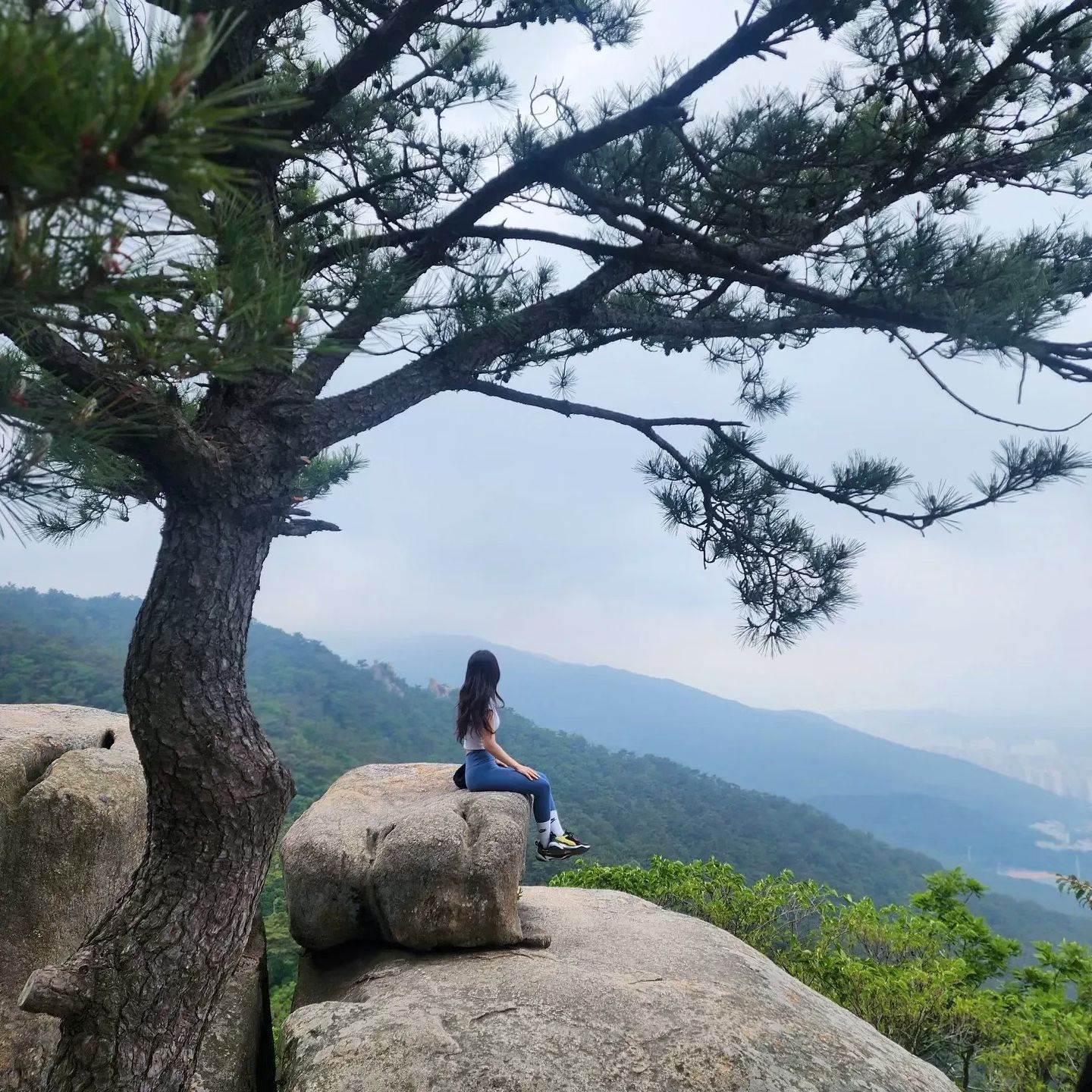 담에는 야간등산⛰️