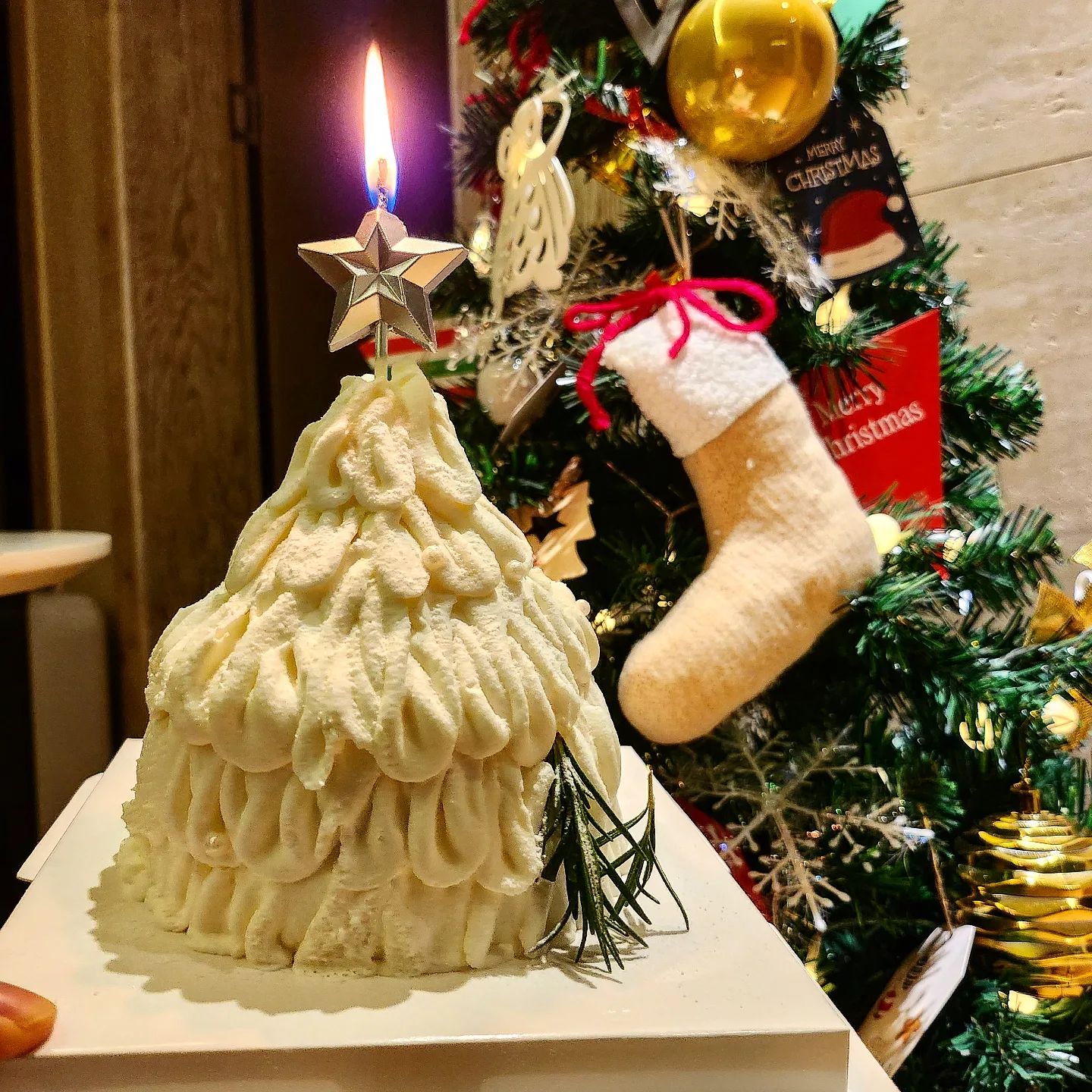 #협찬 #힌터그룬트전포 🎂🍰

부산여행오면 꼭 먹어봐야하는 전포동 유명한 케이크카페😃 힌터그룬트 전포점에서 화이트 크리스마스 시즌 케이크가 재출시 되었어요🎂🎂 

하얀 드레스같은 케이크안에는 달달한 딸기가 가득 들어간 생크림 케이크가 입에서 살살 녹아요😆😆 

시즌 케이크로 12월 30일 까지만 판매되고 네이버예약을통해서만 받고있어서 전포매장에서는 당일예약은 불가능하다는점!! 

네이버 예약이 마감이라면 22일부터 28일까지 센텀 신세계백화점 지하 1층에서 진행되는 크리스마스 페어 팝업에서현장에서 구매도 가능하다고합니다:) 

🍰 힌터그룬트 🎂
인스타그램 hintergrund.official
주소- 부산 부산진구 동성로15번길 37(전포동) 1층 힌터그룬트
영업시간- 12:00-22:00 (라스트오더 21:00)

#부산케이크 #christmascake #크리스마스케이크 #전포카페거리 #서면카페추천 #서면핫플 #서면케이크 #부산크리스마스케이크 #서면크리스마스케이크 #전포카페추천 #부산카페추천 #카페투어☕️
