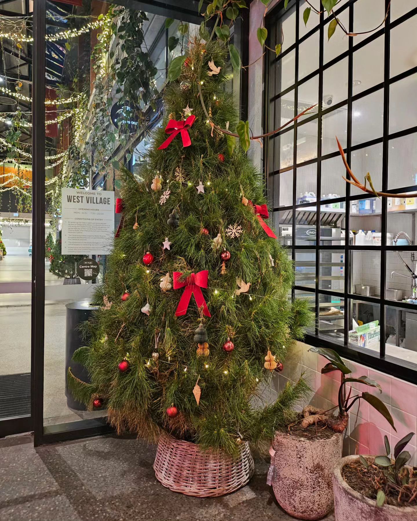 여름크리스마스 브리즈번에서 내사람이랑 행복한 크리스마스 🎄❤️ 날씨가 우박내려서 동네에서 조촐하게보냄
2023년 👋 bye 2024년 건강하고 행복하자
 #brisbane #Southbank #christmas #summerchristmas