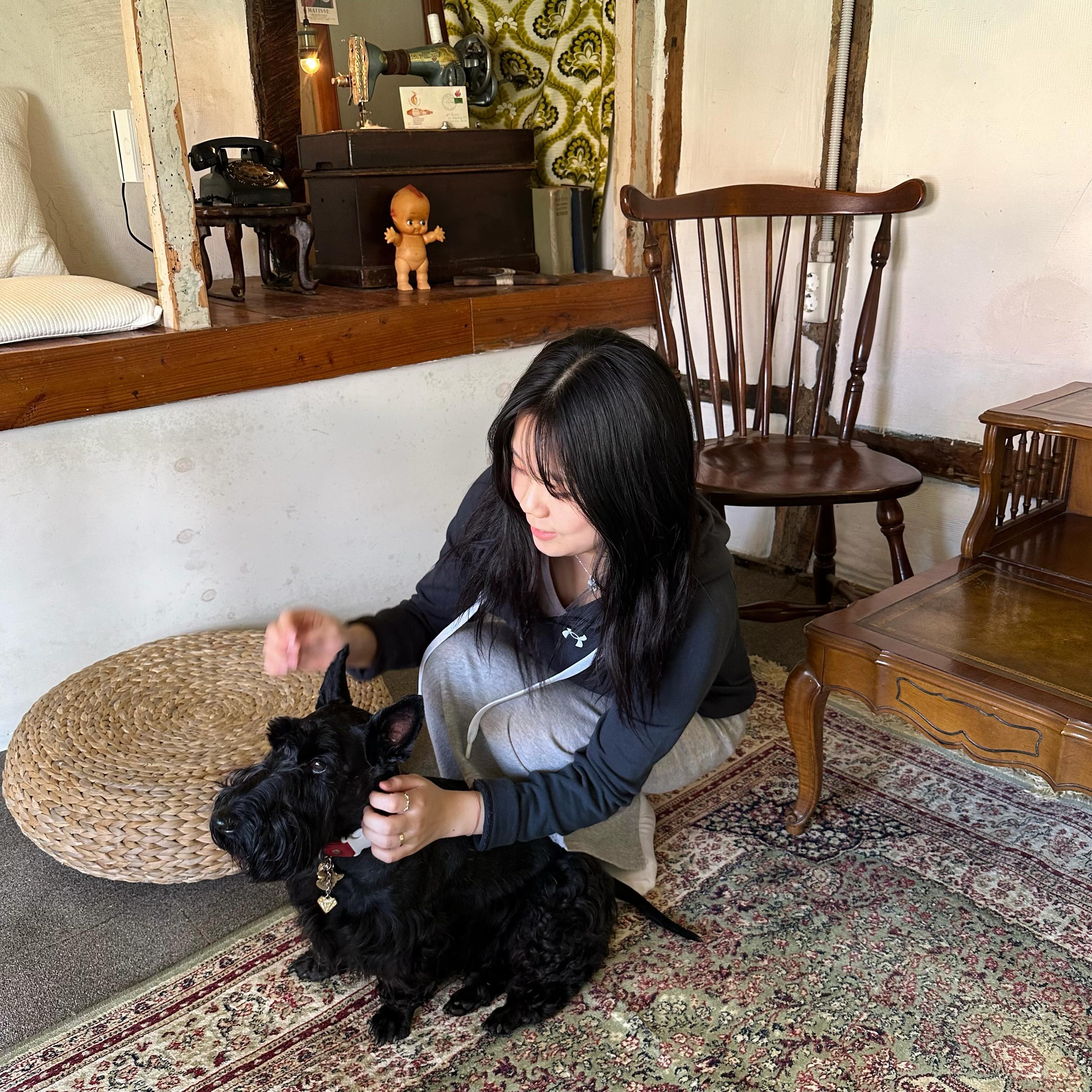 모모 🐕🐶