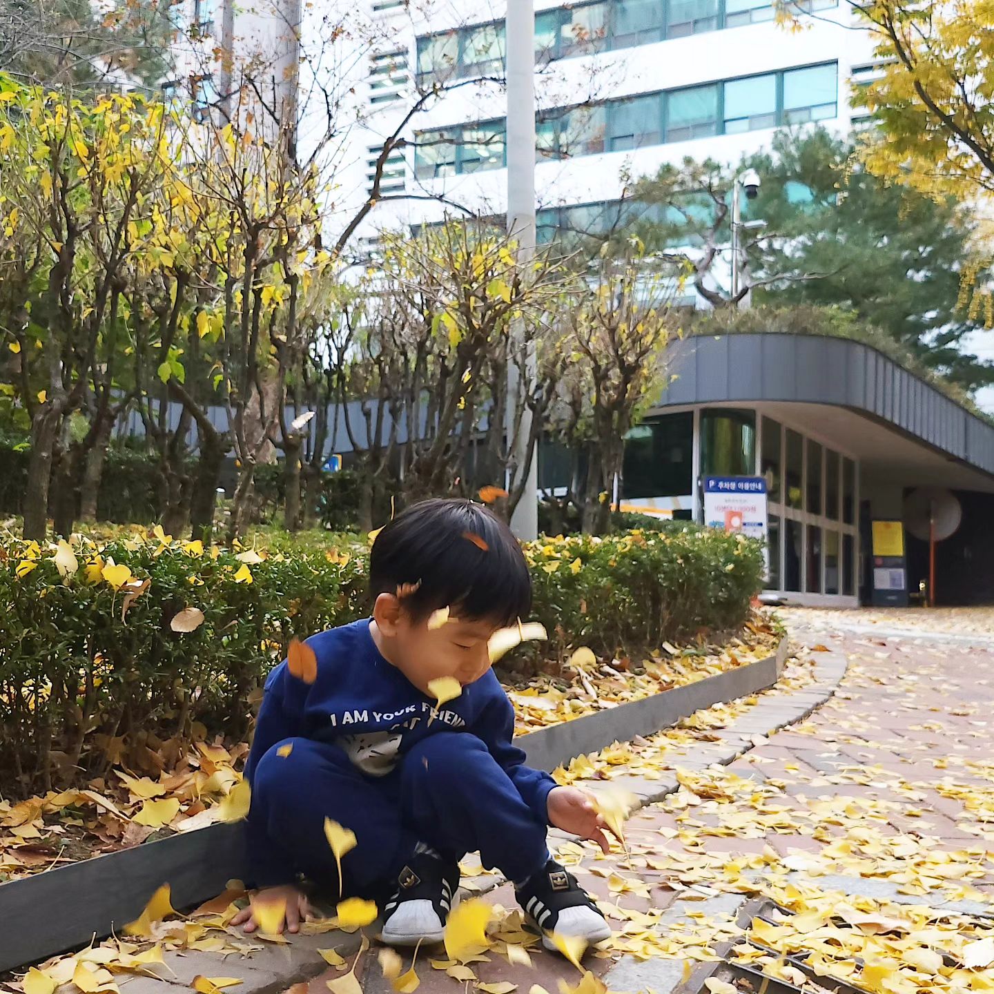 숙소에서 약 20분 정도 걸으면 나오는 덕수궁 돌담길에서 낙엽도 밟고 뿌리며 울산에서 못 즐긴 가을을 느꼈어요.

온 김에 덕수궁 입장해서 궁 내외부 구경하며 즐거운 시간을 보냈어요.

덕수궁은 만 18세 이하 또는 65세 이상은 무료입니다.

#덕수궁 #덕수궁돌담길 #낙엽 #가을 #가을하늘 #은행 #은행잎 #20231031