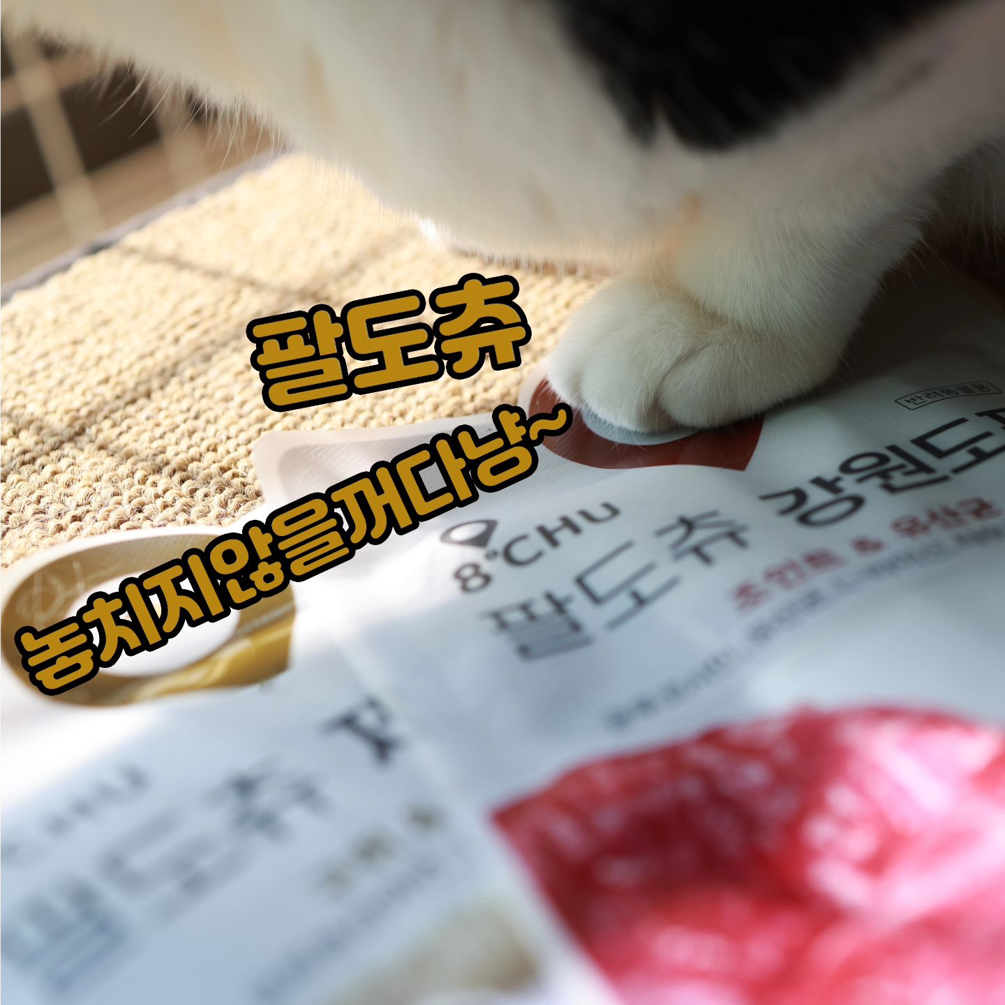 #협찬 #제품제공 #팔도츄 #고양이츄르 #건강한츄르 #고양이간식

사실 처음 봤을때 다시ㅇ 인줄 알았어요😹
그만큼 원물에대해 자신감있는 포장!!
세가지맛의 팔도츄 끔추네가 먹어봤어요~~

🔴 츄르는왜?

츄르는 단순히 기호성높은 간식의 개념이아니예요
우리집 고양이가 아무리 집사인 내가보기에 물을많이 마셔주는것처럼보여도 알고보면 항상부족한 수분량...
팔도츄르는 89%의 수분함량으로 부족하기쉬운 아이들의
수을 채워줘요

🟠 신선한원재료

츄르는많지요~하지만 어디서 어떻게만들어진건지...
주식들보다는 공개된정보도 미약하고 어떤재로가 어디서어떻게 
생산되고있는지에대해 간과하기쉬워요
하지만 팔도츄는 구수한 이름그대로 대한민국의 팔도에서 생산된
신선한 특산물들로 이루어져 안심하고급여할 수있고 제품생산공정또한 어디 먼곳이 아닌 대한민국 믿을수있는 ISO인증
국내시설에서 생산되고있어요

🟡 영양그득!!

수분충전때문에 주기는하지만 간식을 너무주면 안되는거아닐까
걱정되신다구요?
팔도츄는 산지직송의 신선한 원재료뿐 아니라 아이들 각각의 상태에 맞춘 기능성 원료들까지 그득!!

🟢6FREE
-방부제 FREE
-글루텐 FREE
-감미료 FREE
-인공향 FREE
-합성착향 FREE
-인공색소 FREE

🥩 강원도편[조인트,유산균]
아직 집사도못먹어본 강원도 횡성의한우와 기호성높은황태로이뤼어진 강원도편은 높은곳좋아하는 우리고양이들의 관절을 케어해줘요.
제형감은 가장쫀득한 밀도의 부드러운 퓨레느낌이었어요

🍐 충청도편[유리너리,L-라이신]
보기만해도 시원한 배와아로니아 그리고 닭이주성분인 충청도편은
고양이들의 만성질환인 비뇨기계통에 도움을줘요
제형감은 세가지맛중 원물의 느낌이가장살아있는듯했고 가장밝은색을 띄고있었어요

🦪 제주도편[구취,덴탈케어]
소금이가 좋아하는 바다생물 그득한 제주도편은 제주광어와 서귀포녹차로 치주질환예방에 도움을줘요
제형감은 세가지 맛중에 가장투명한 바다같은 시원함을 보여줬구요 그만큼 수분감도 많이느껴졌어요

✨️강조하고 또강조해도 지나치지않을 우리아이들의 수분보충!!
우리땅에서 나고자란 원료들로 건강하고 깨끗하게 채워줘요~
팔도츄~끔추네가 추천드려요✨️