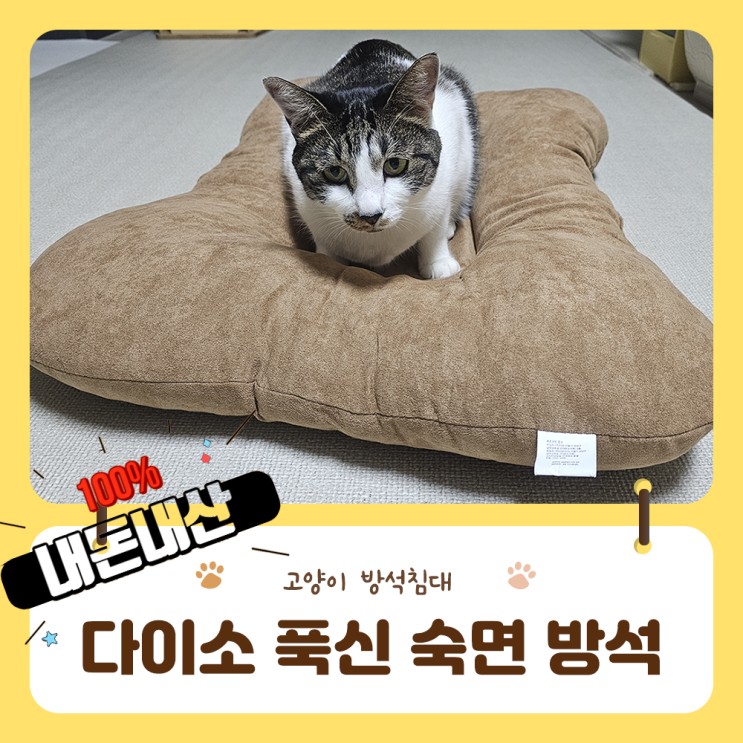 다이소 고양이용품 추천 펫 푹신숙면방석 가성비갑 강추해요
