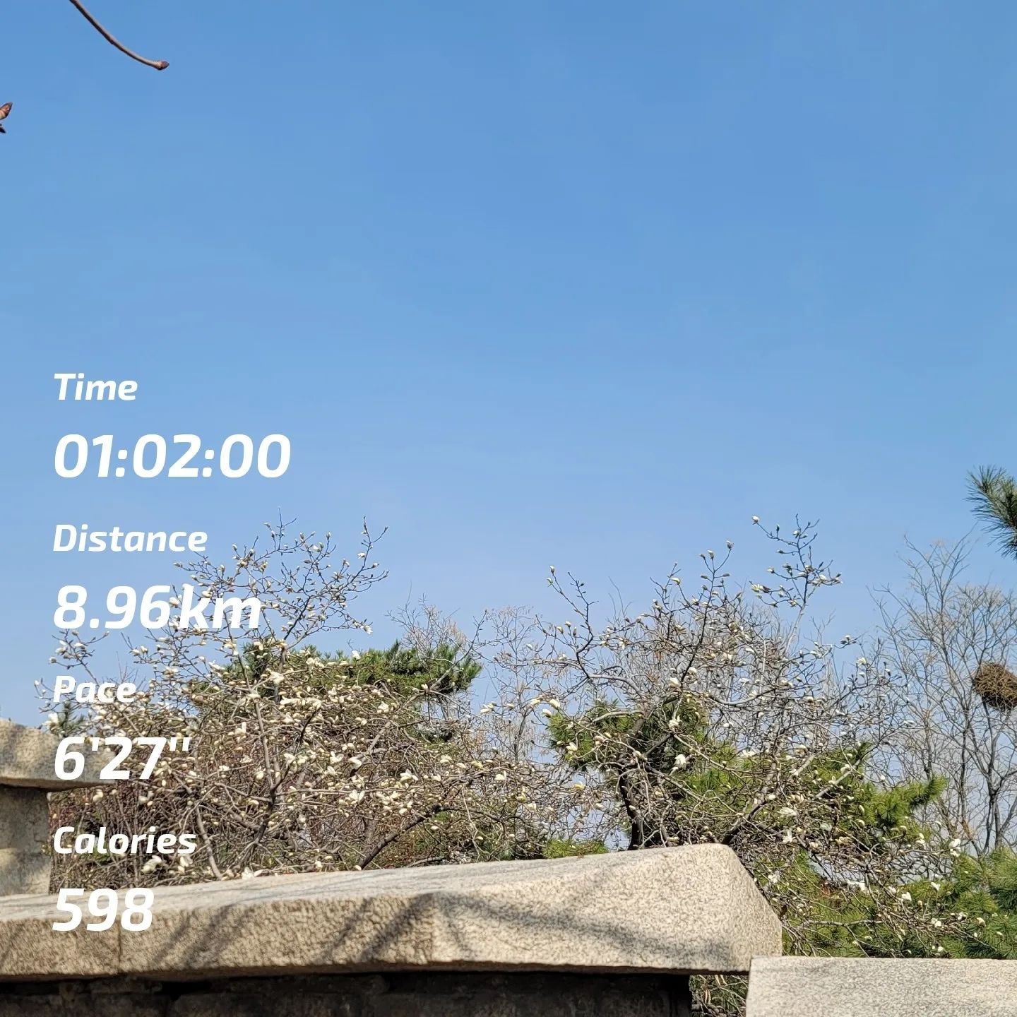 #덴운완

드디어 1시간 9km 진입!
조금만 더 훈련하면 10km 1시간 가능할거같아요

열심히 연습해서 내년엔 저도 #서울마라톤 도전!

#헬스타그램 #헬스 #운동하는여자 #관리하는여자
#런데이 #런스타그램 #런닝 #러닝 #러닝스타그램 

#밀린일기 #오늘아님 #오운완 #어운완