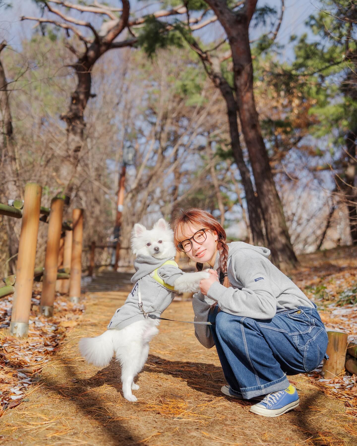 #광고 #협찬 
dandan_bookclub 
phyps_department 
우리집 귀염둥이 내 사랑 김시로
잘하는 거: 표정으로 시비걸면 알아차림
못하는 거: 귀여우면 다 못해도 괜찮음

다들 자기 강아지 자랑 한번 해주세요❤️
me_an.e 
.
.
.
.
#핸친소 #예일 #예일후드티 #예일강아지옷 #커플후드티 강아지커플룩 #강아지커플옷 #강아지옷 #강아지옷추천 #댕스타그램 #멍스타그램 #반려인 #반려견 #강아지 #스피츠 #일상 #데일리 #daily #fashion #소통 #서울
