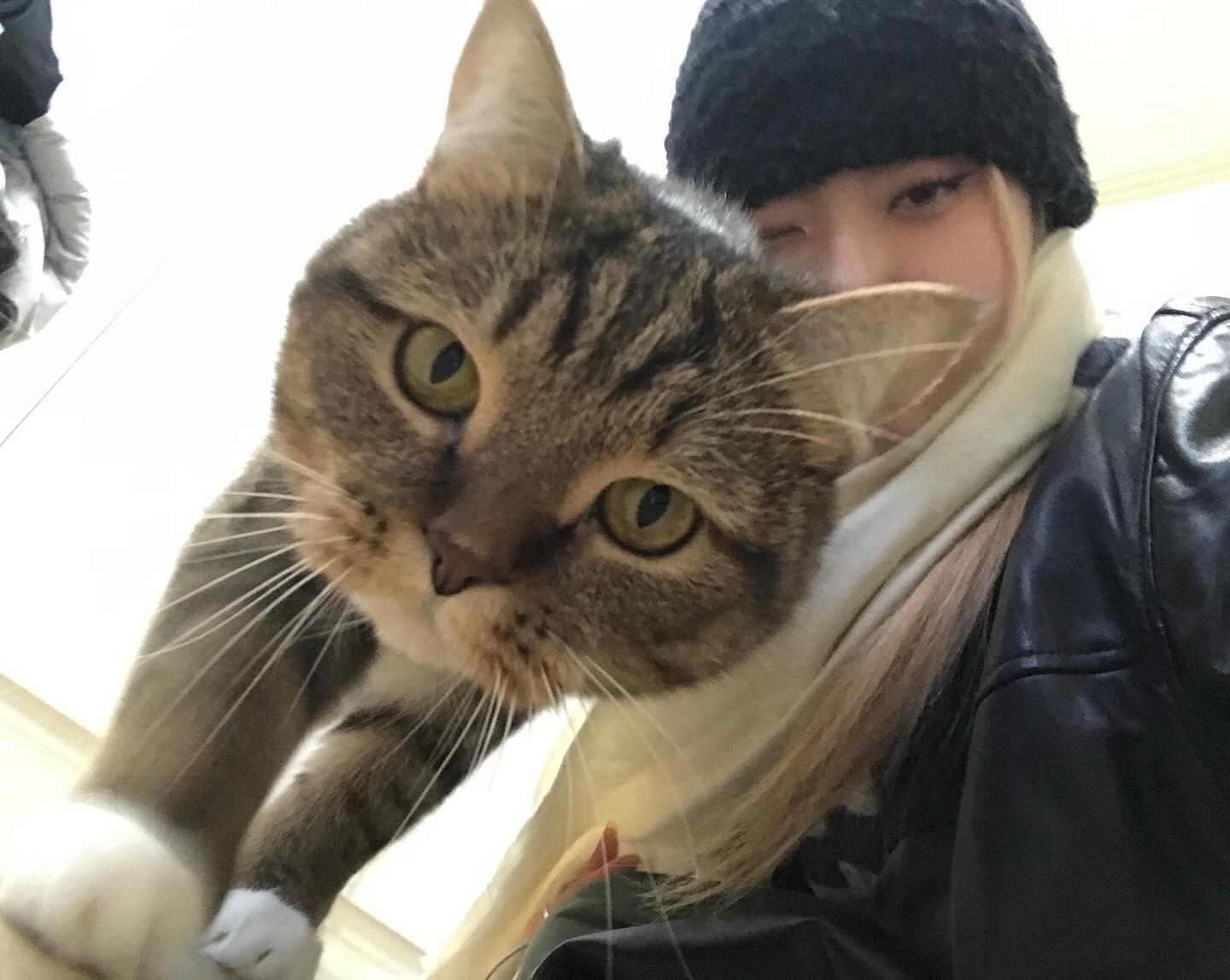 여기 좀 봐주세요~ 고양씨~~𓃠 ₊ ·* ✿ ৹
#ねこ #かわいいねこ #日常 #ねこのきもち #일상 #고양이