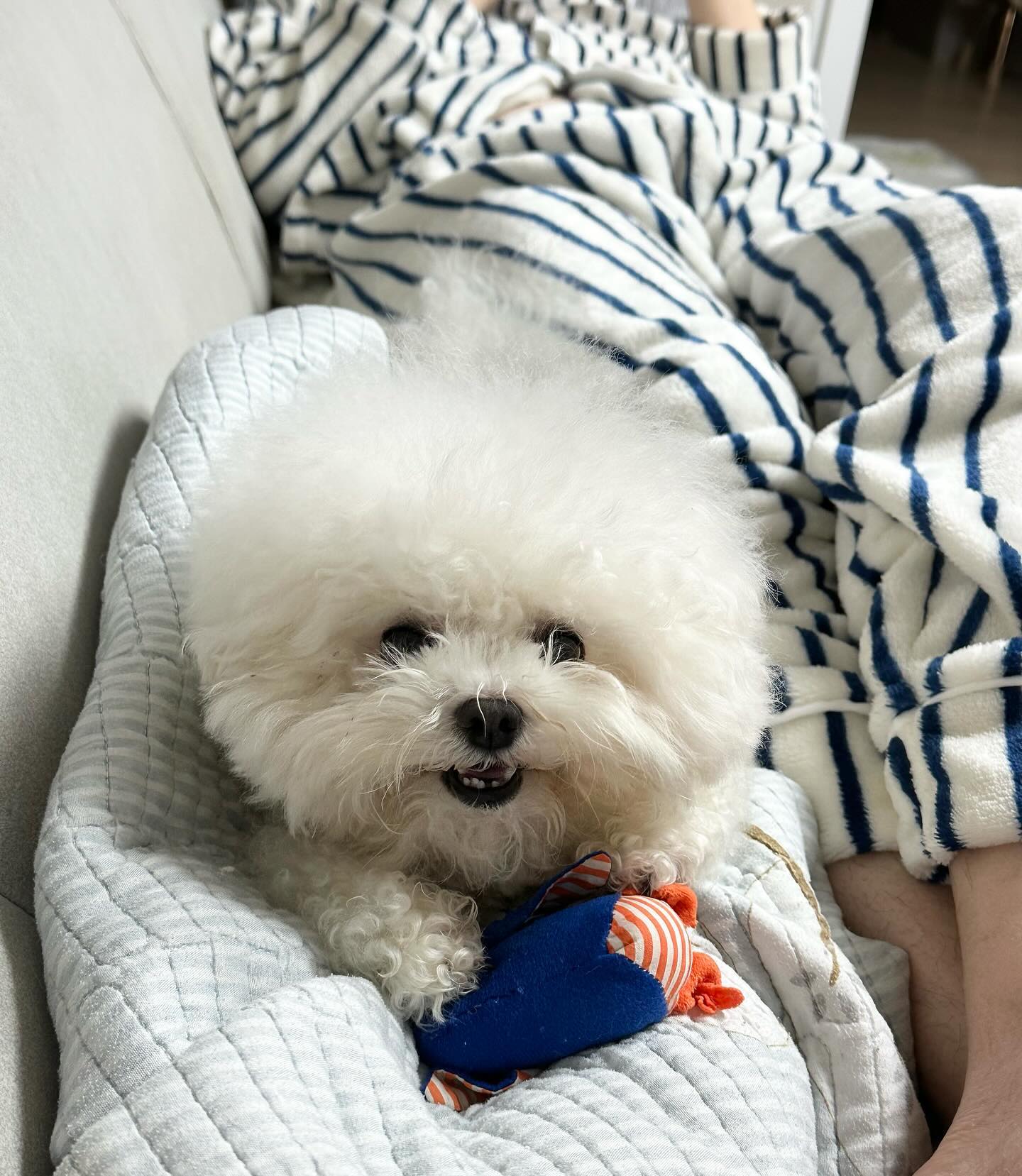 -
주말 조하 😆

#다들즐주말보내세용❤️💛💚💙💜