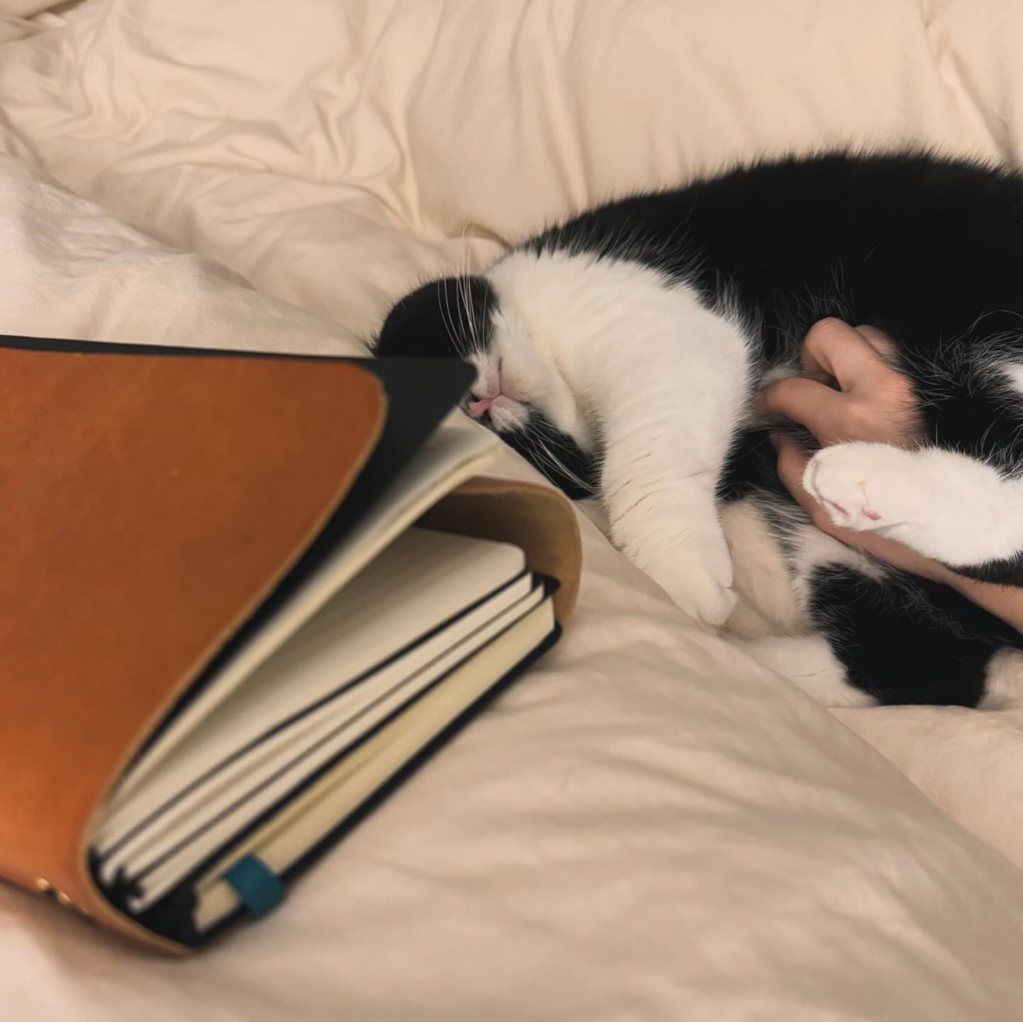 Stop writing diary! 
Choose me! 
Love me! 
Pick me! 

#pickmeboy