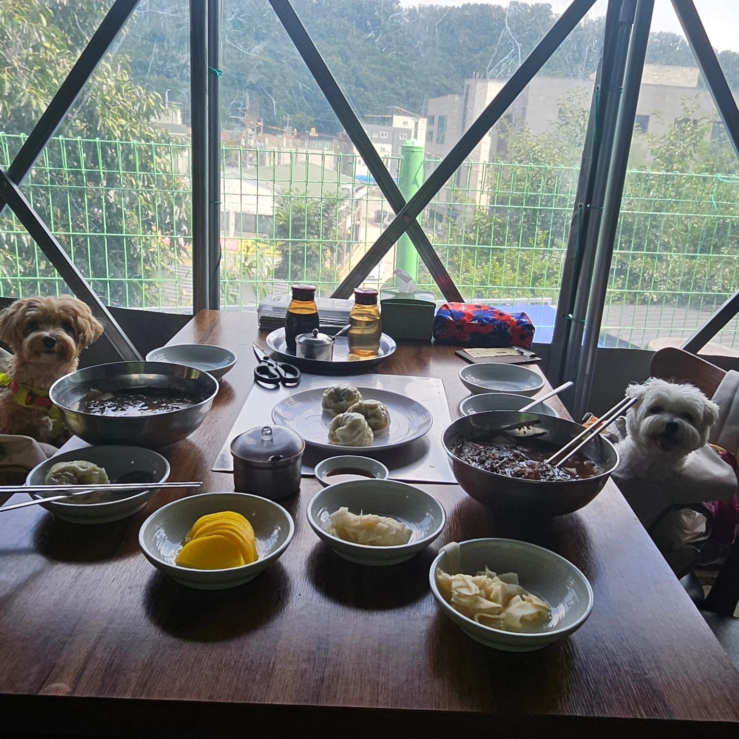 물냉2 + 고기만두 먹고.. 비냉 추가 #🐷클럽 

애견동반석이 따로 있어서 넘 좋았당!

#삼막사칡냉면
