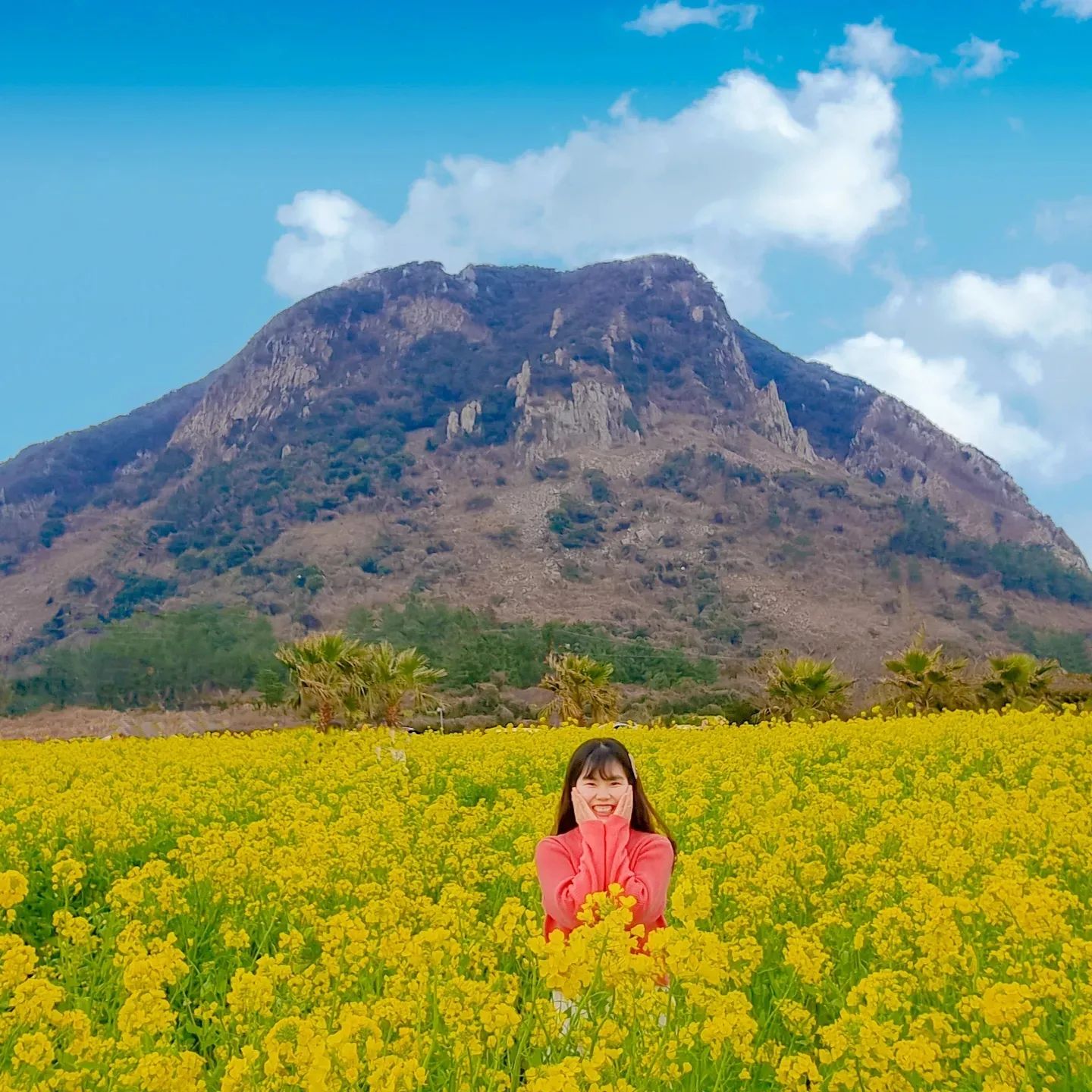 🌼💛

봄 제주는 유채꽃이지

🎈산방산
▪️입장료 : 인당 천원