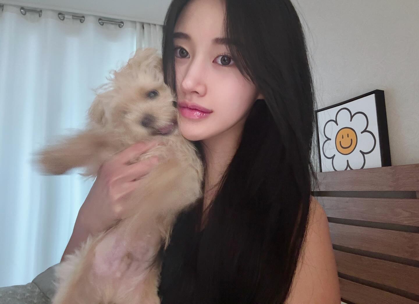 콘텐츠