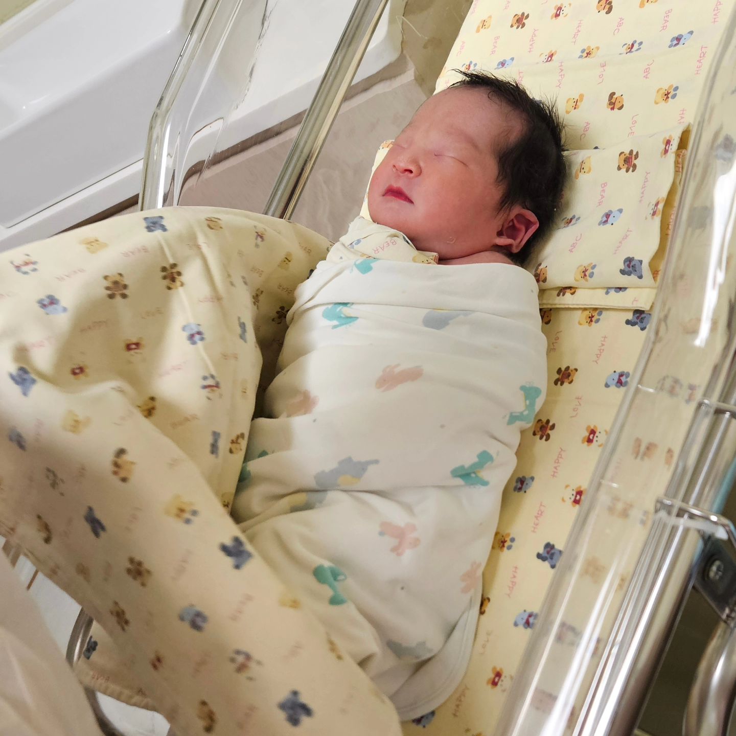 2024.01.10.(수) pm.1:20 
38주 1일 3.125kg 꿀벌이 탄생 🐝
D+2 오늘이 태어난지 3일째 되는 아기👶 

첨에 나왔을땐 팅팅 뿔어있었는데 
하루하루 얼굴 붓기 빠지는 중💖

쌍꺼풀이 있긴 한거 같은데 
아직 부어있어서 잘 모르겠다 ㅎㅎ

볼때마다 잘 자고 있었는데 
나중에 집에 가서도 잘 자길🙏🏻

#신생아 #탄생 #아기 #인생3일차 #쪼꼬미 #공주님 
#엄청작아 #볼때마다자고있음 #순한듯 #쑥쑥커라
#아기스타그램 #신생아그램 #딸스타그램 #일상기록